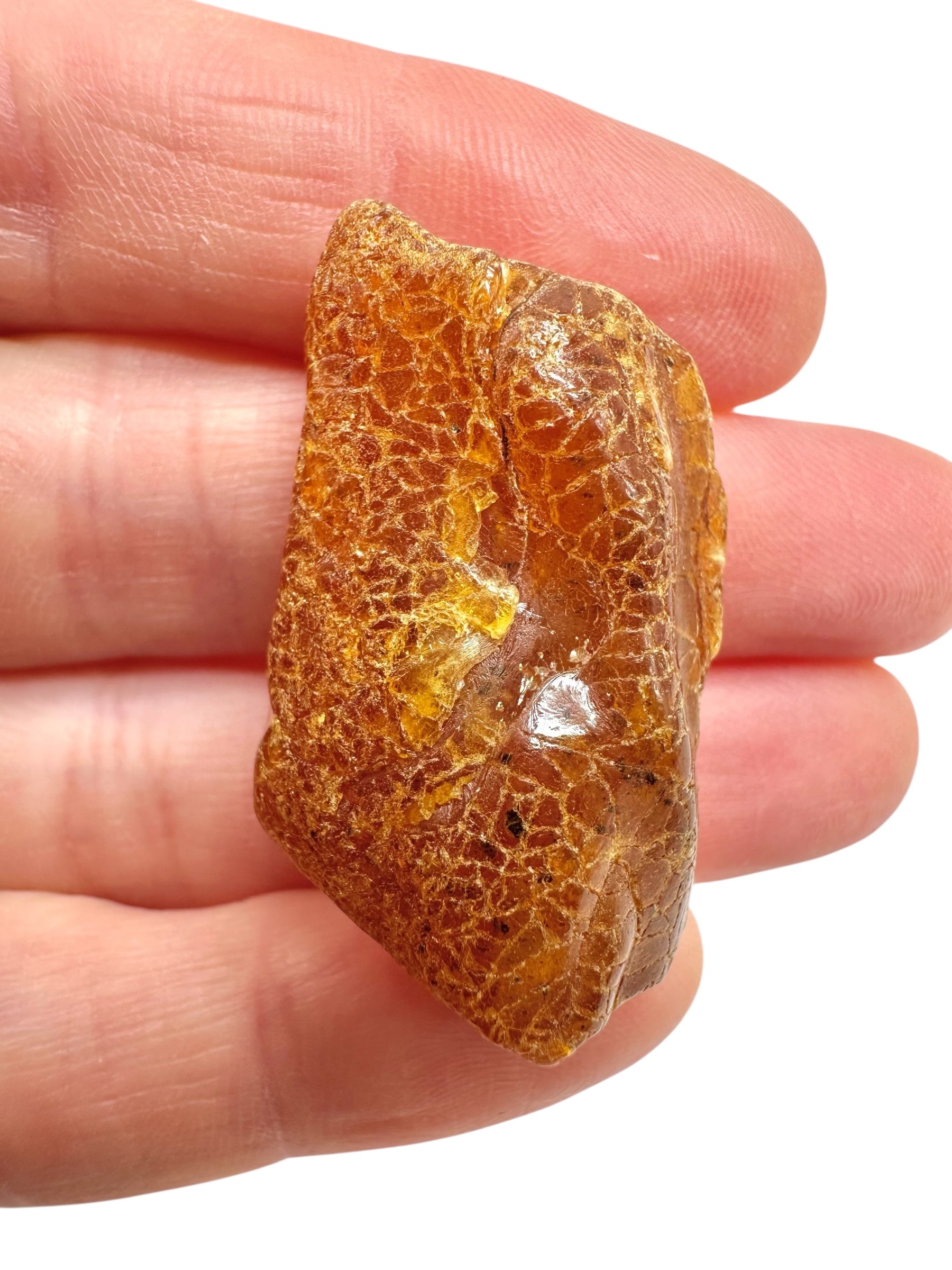 Raw amber 4,5g – Lithuania - JN735