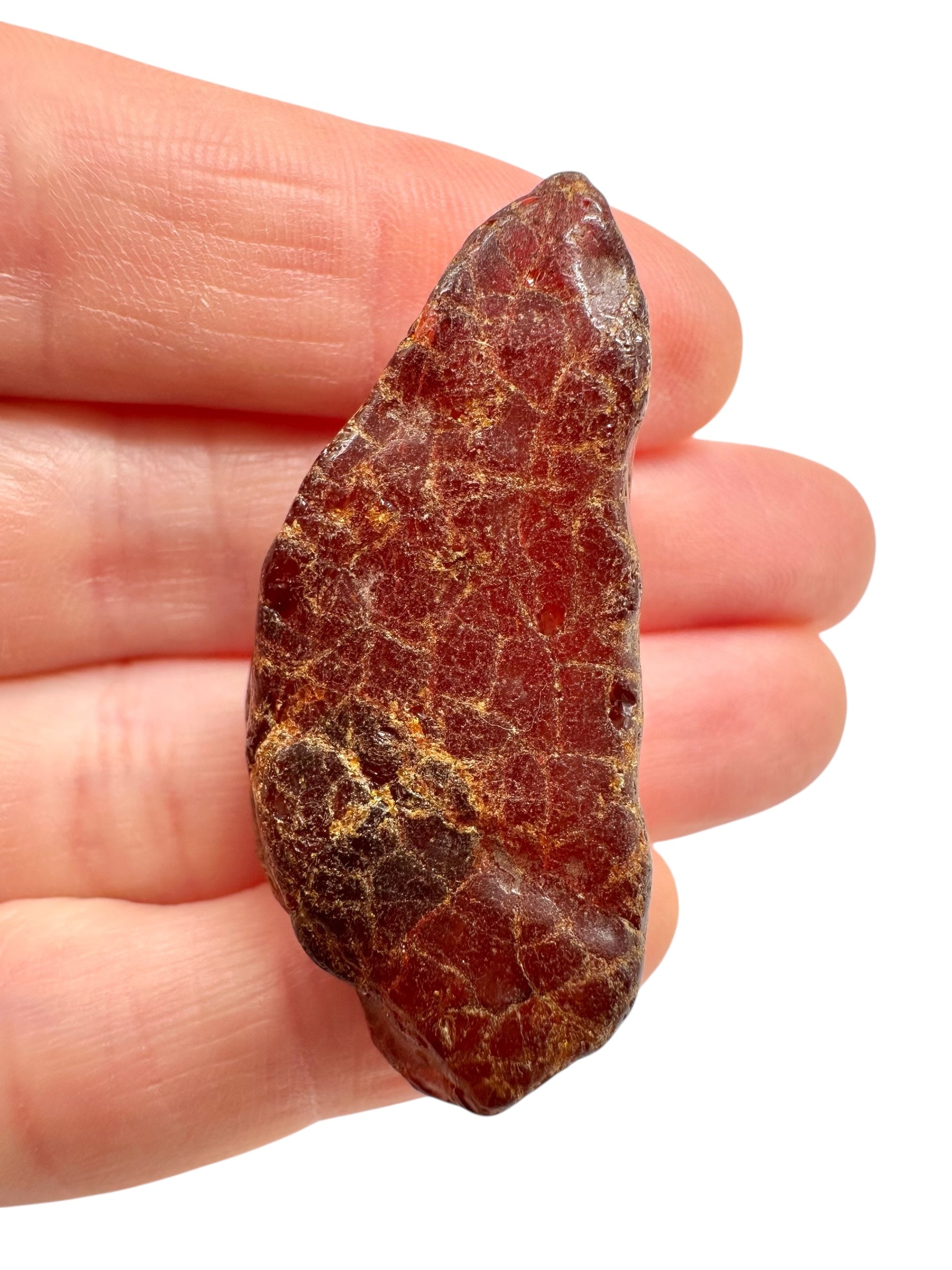 Raw amber 5,7g – Lithuania - JN736
