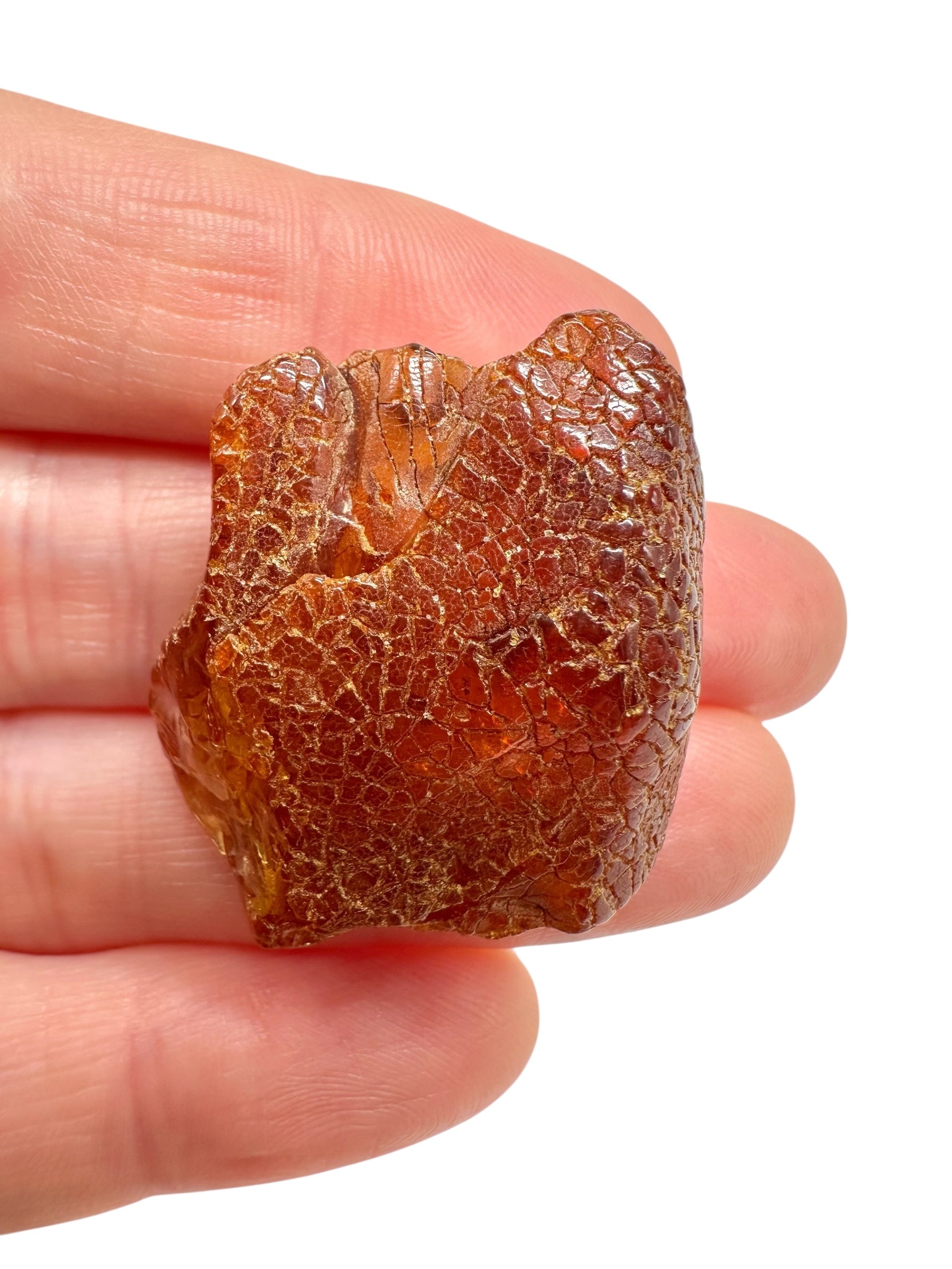 Raw amber 4,5g – Lithuania - JN742