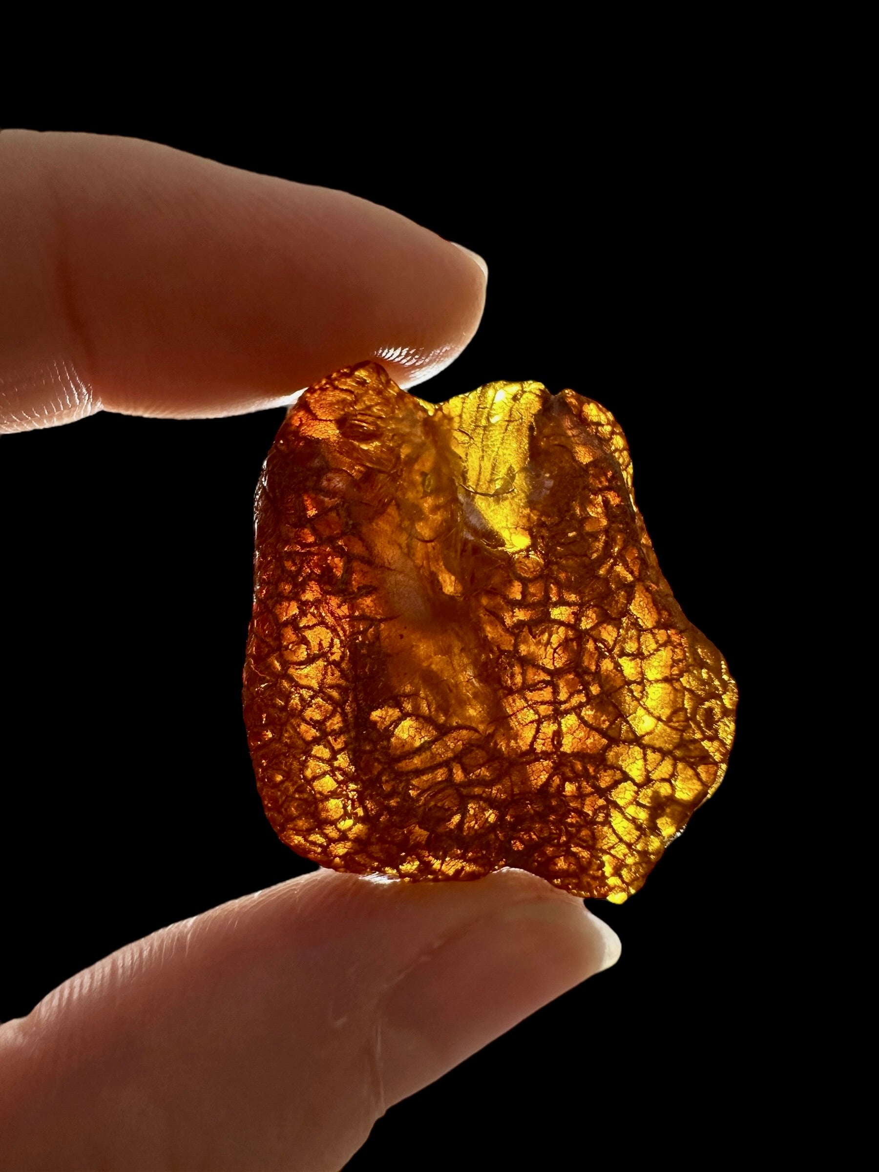 Raw amber 4,5g – Lithuania - JN742