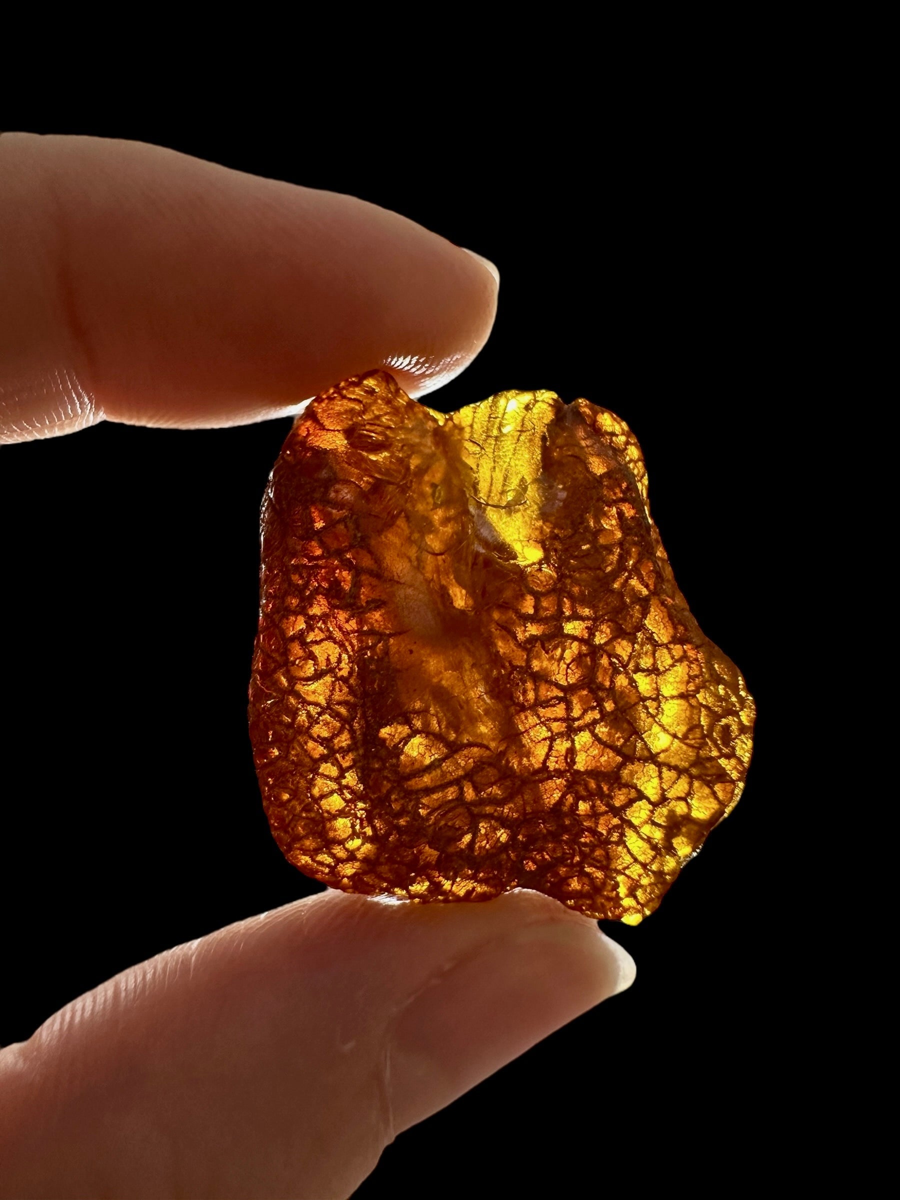 Raw amber 4,5g – Lithuania - JN742