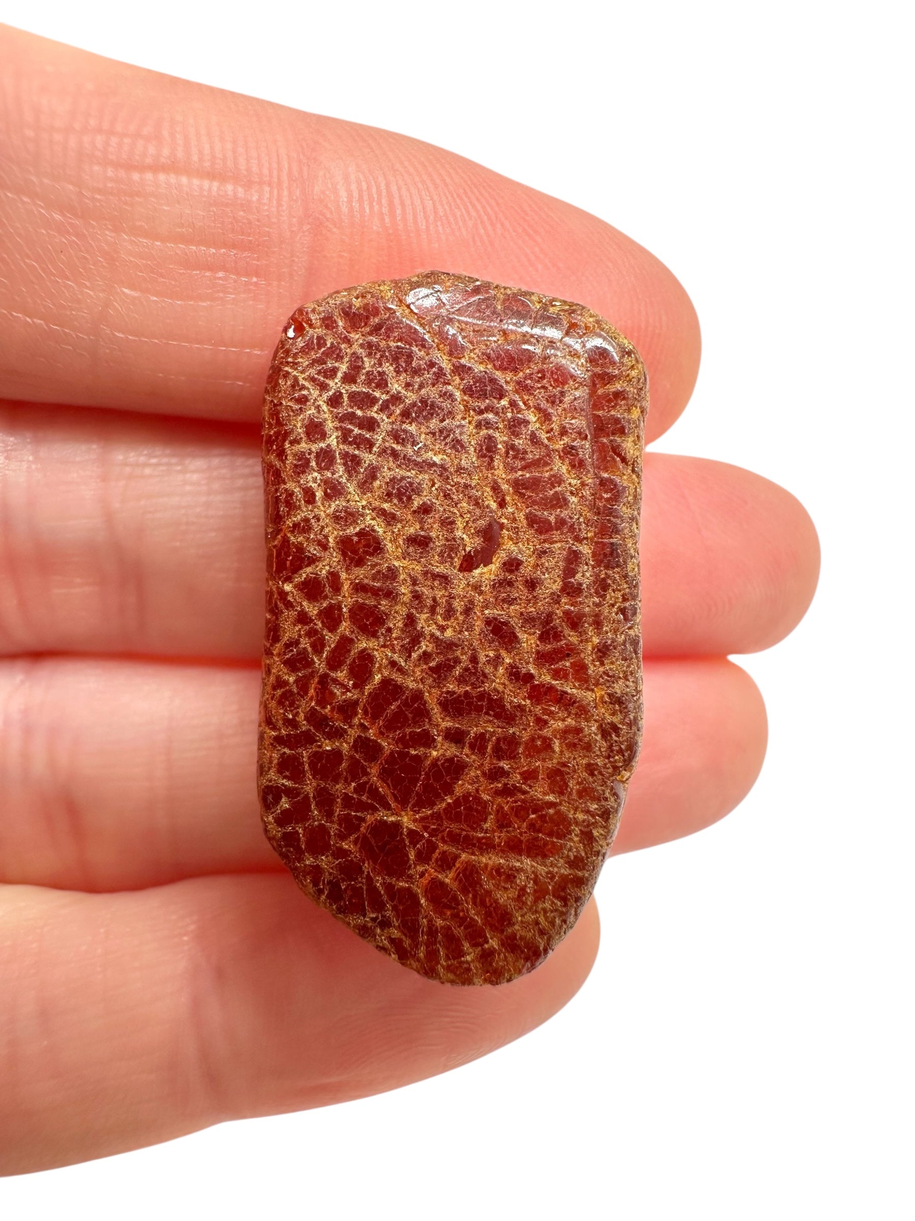 Raw amber 3,9g – Lithuania - JN743