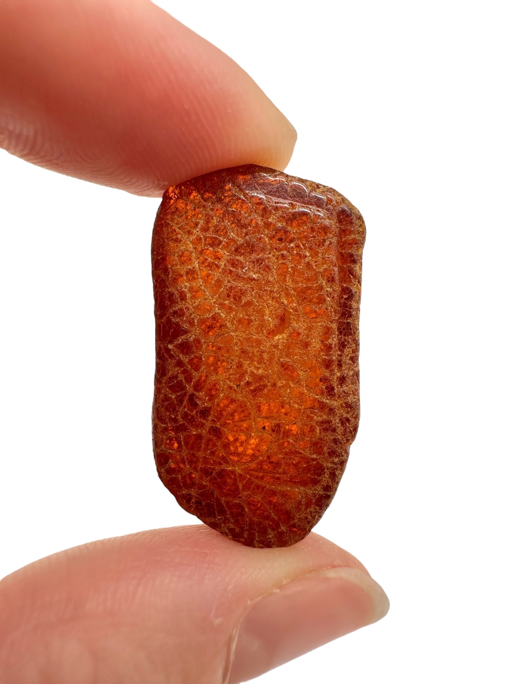 Raw amber 3,9g – Lithuania - JN743