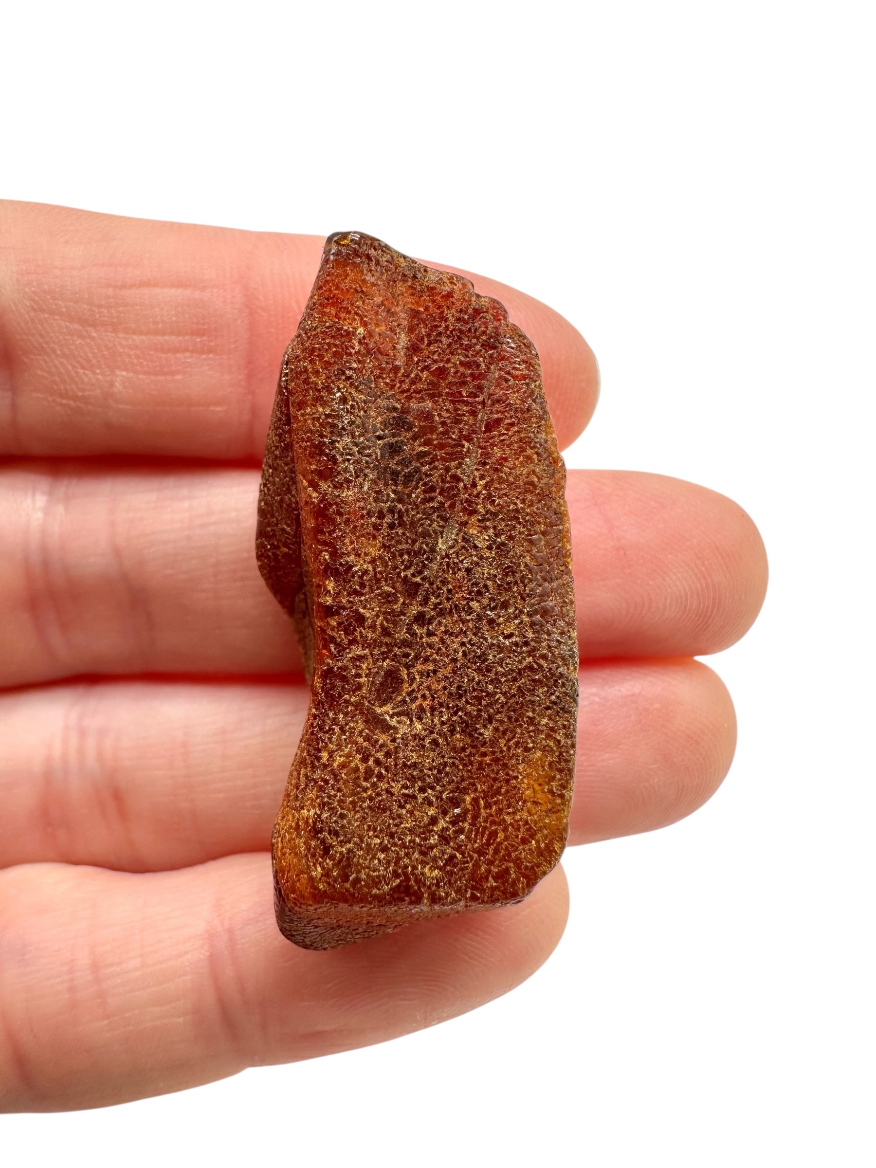 Raw amber 4,6g – Lithuania - JN746