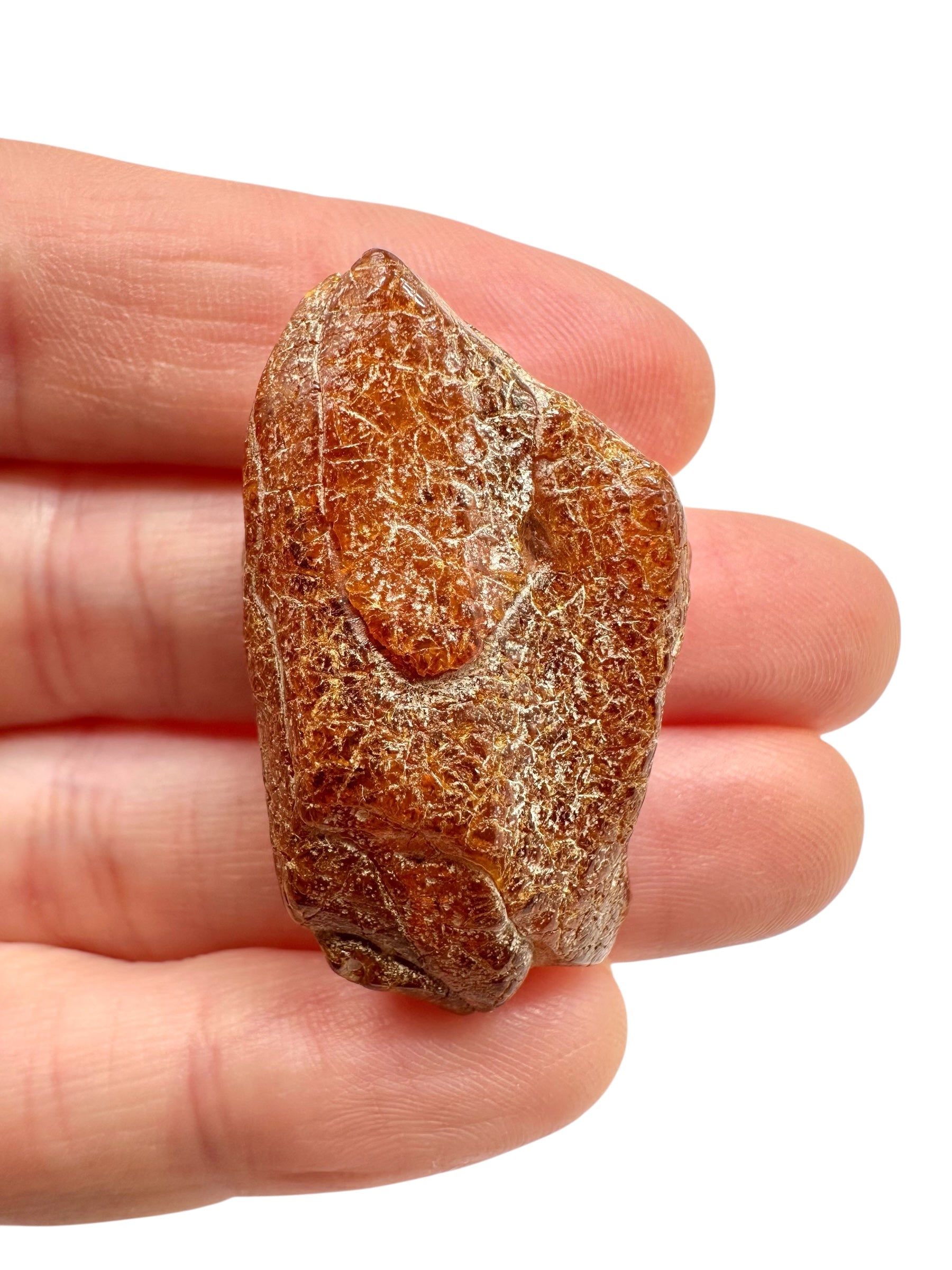 Raw amber 5g – Lithuania - JN749