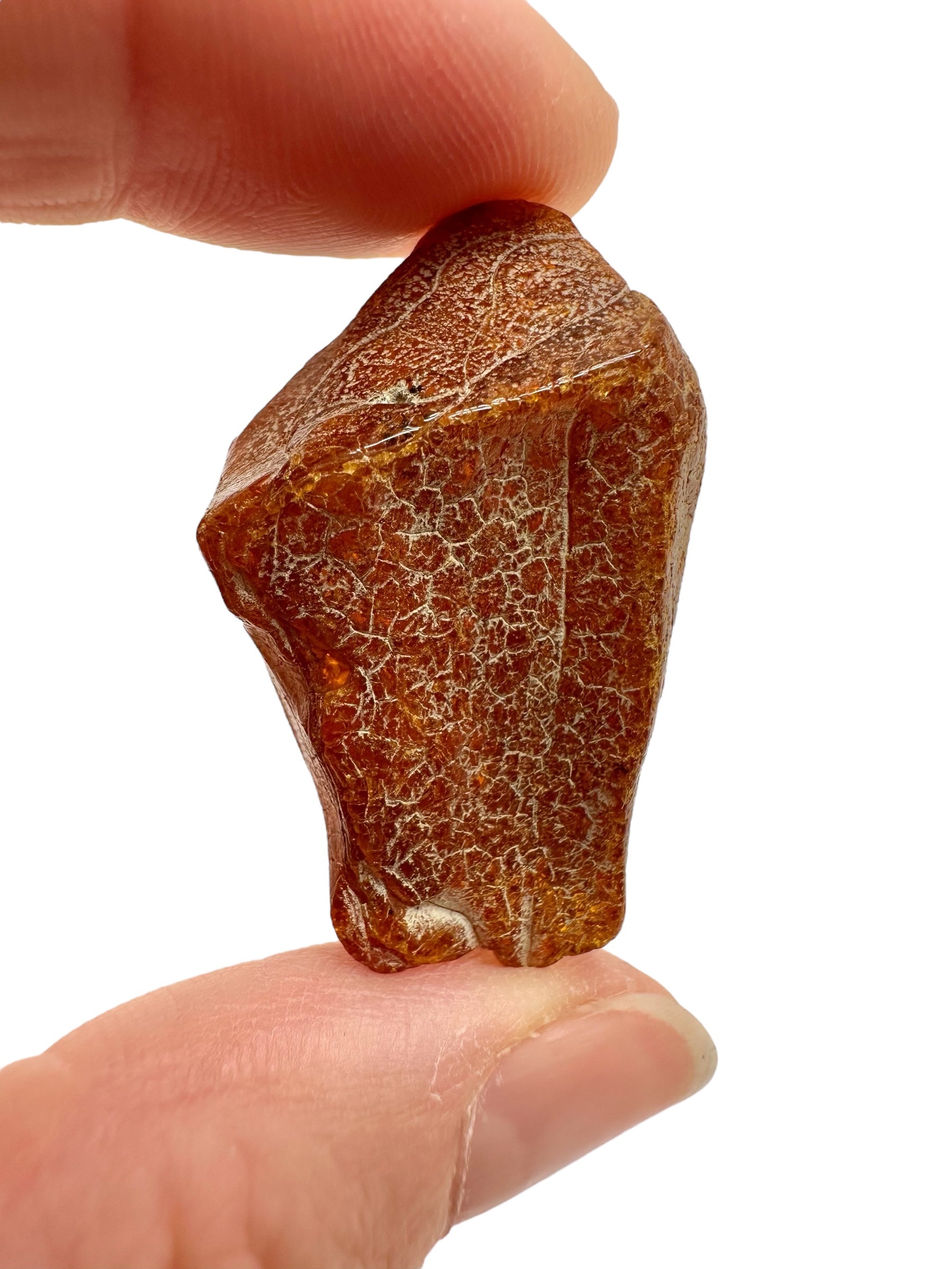 Raw amber 5g – Lithuania - JN749