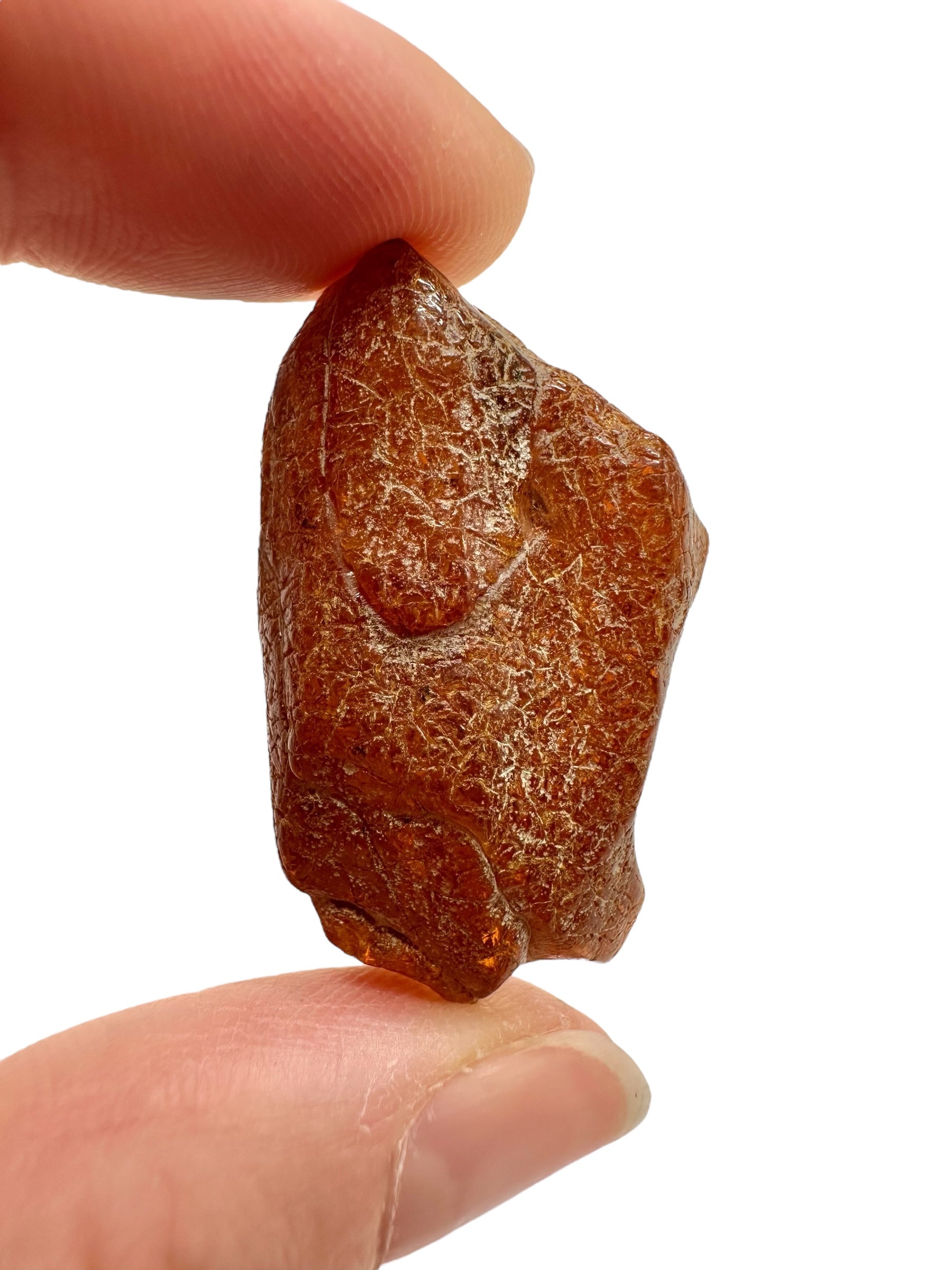 Raw amber 5g – Lithuania - JN749