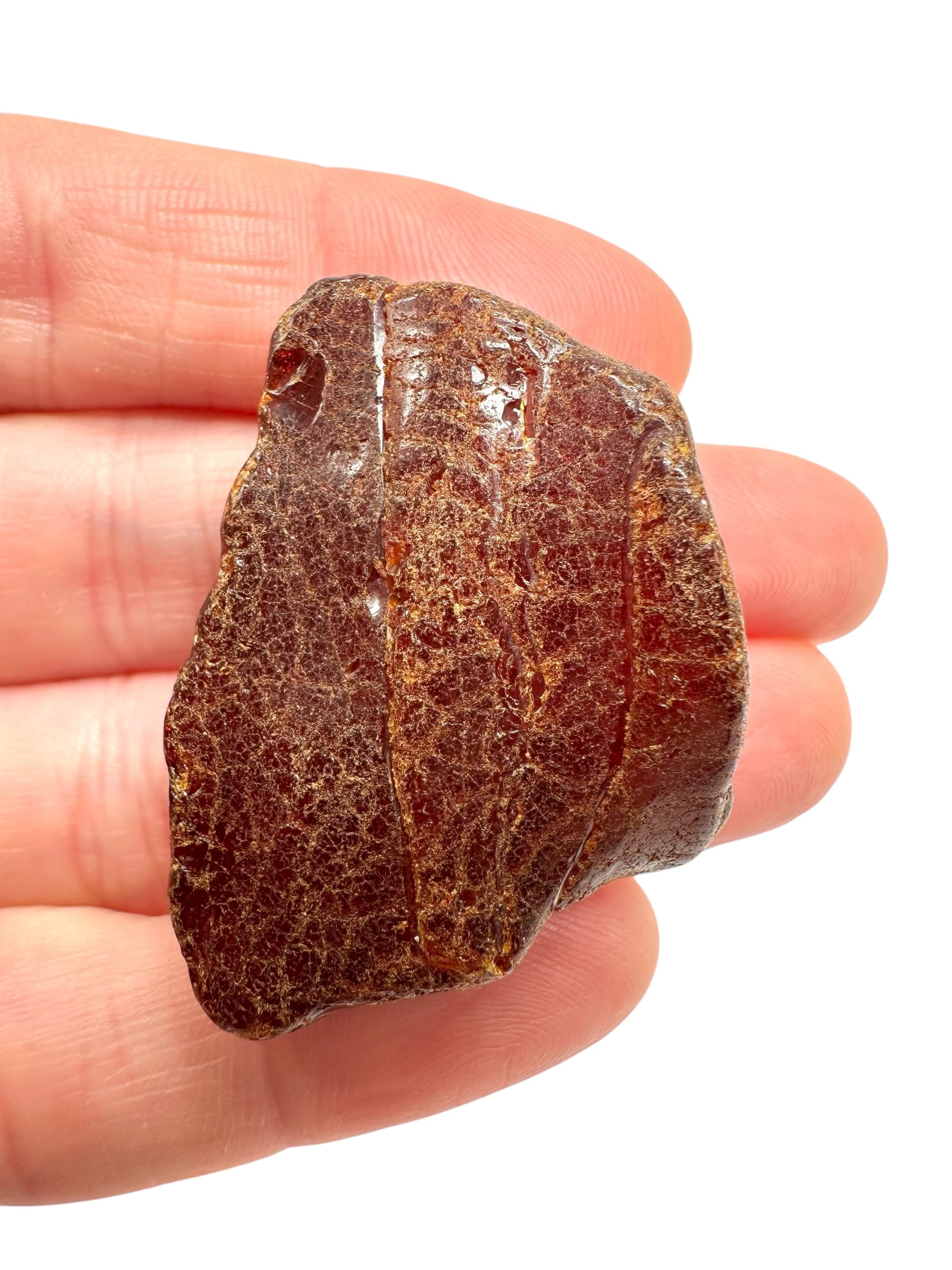 Raw amber 7,1g – Lithuania - JN751