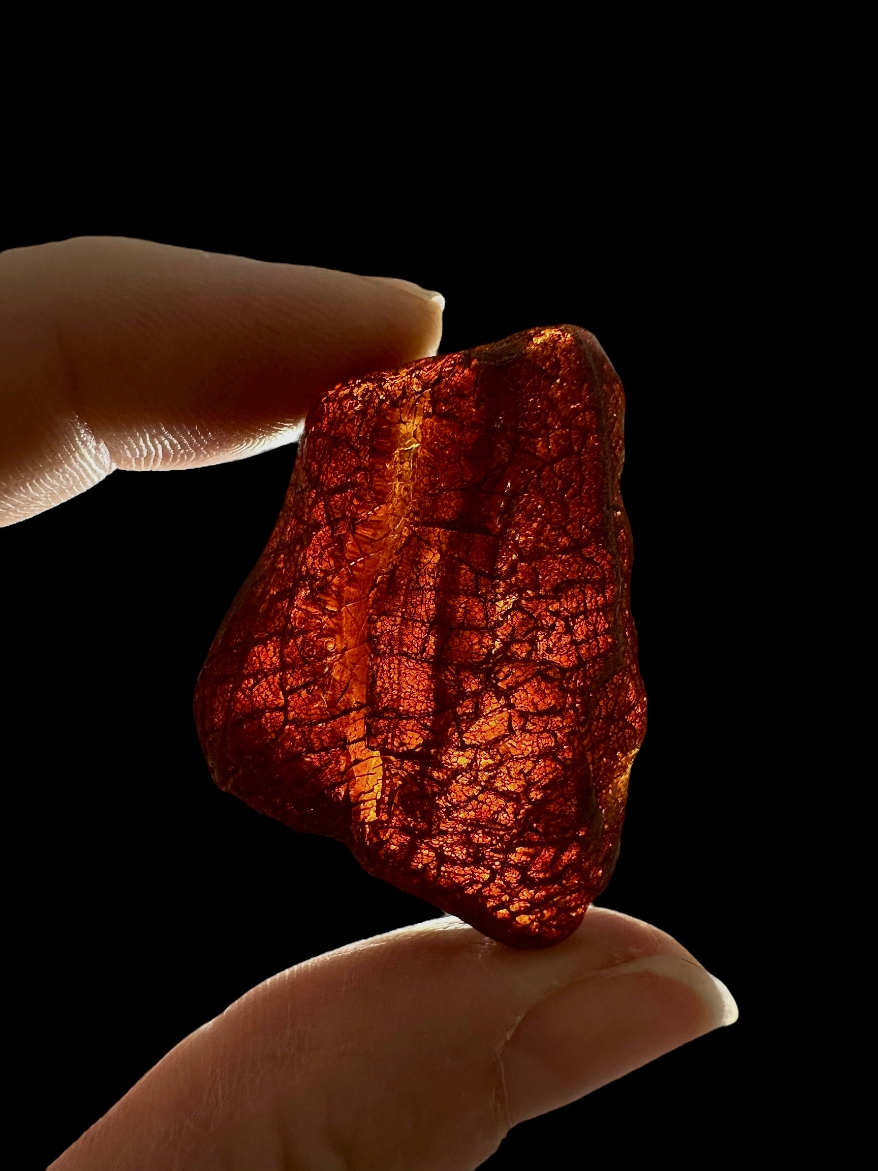 Raw amber 7,1g – Lithuania - JN751