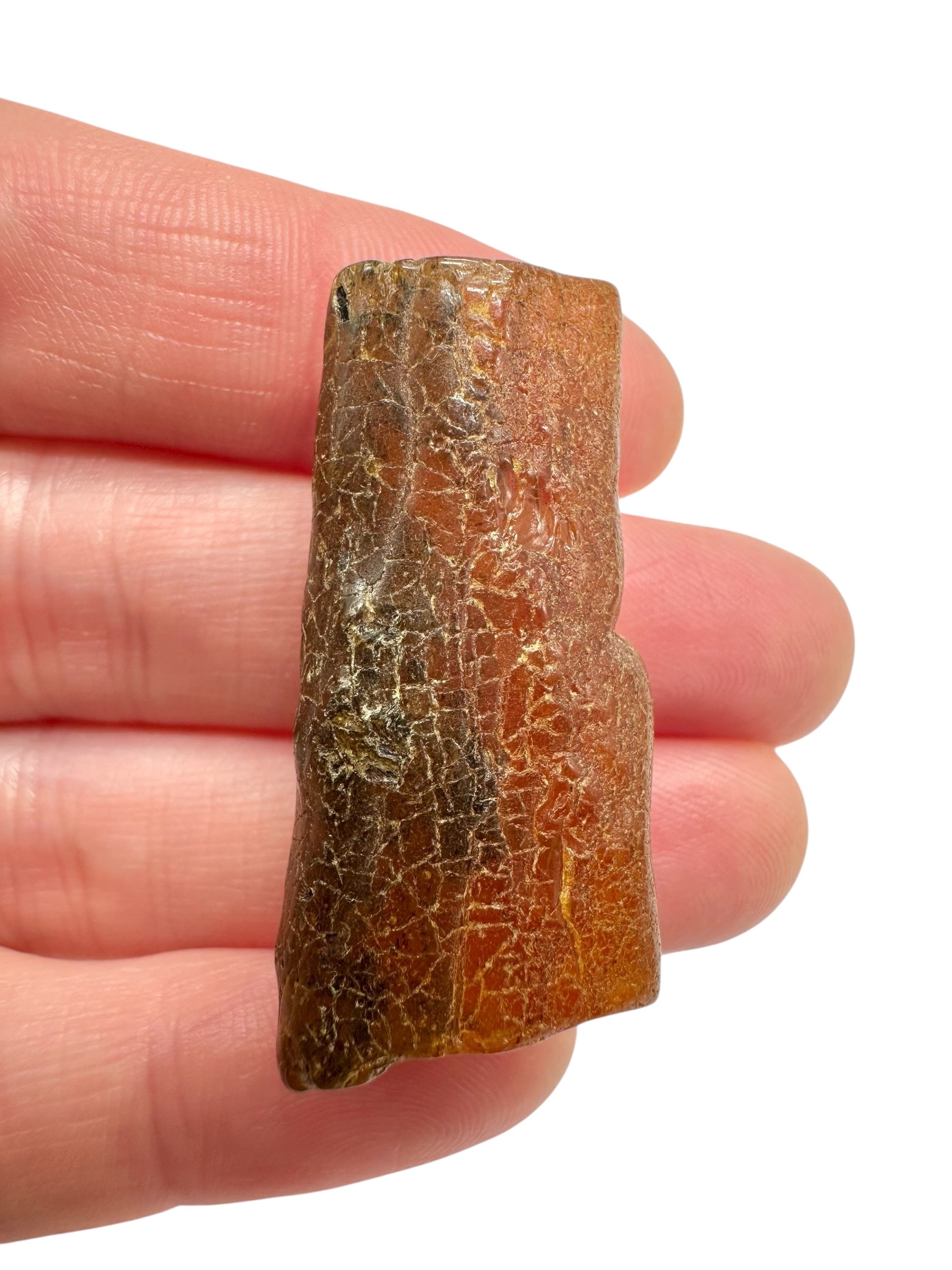 Raw amber 4,9g – Lithuania - JN761