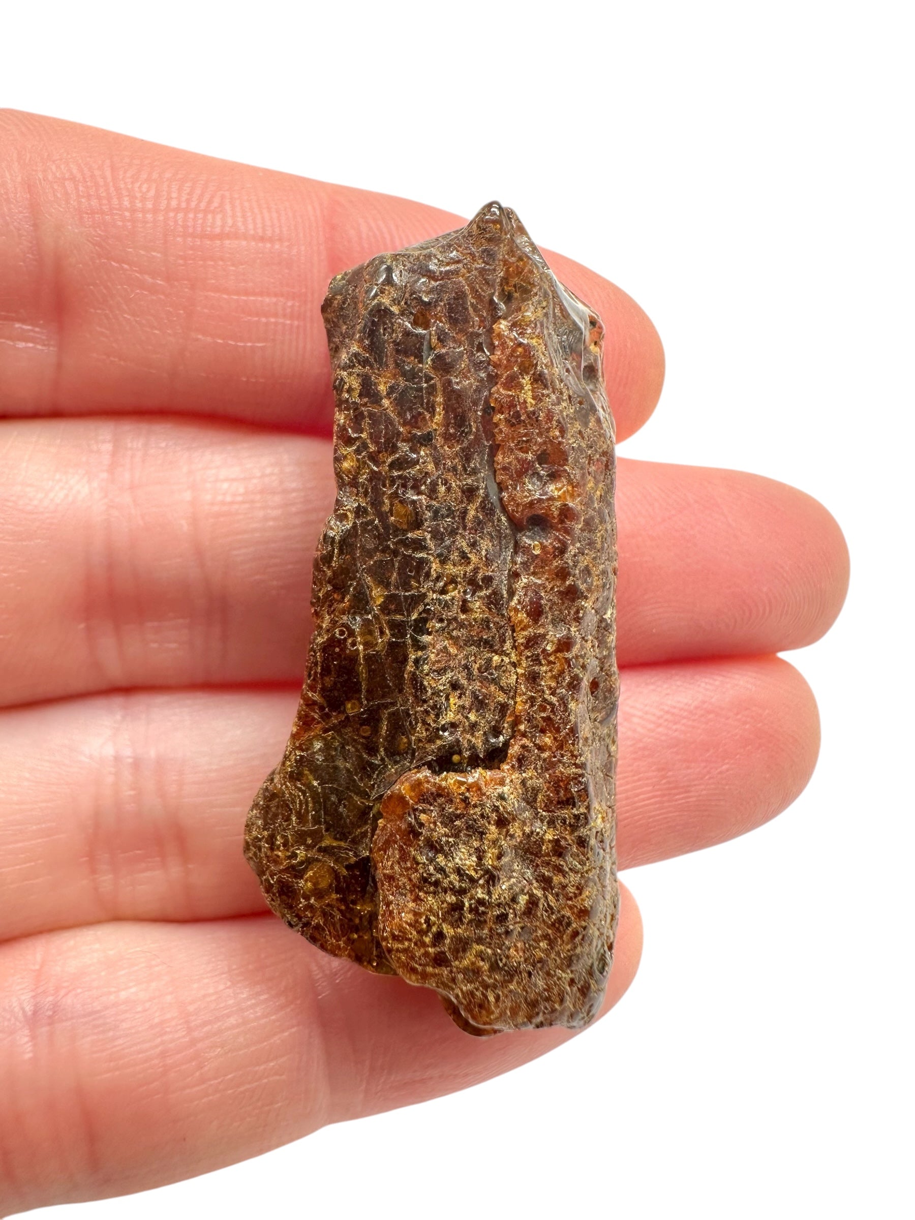 Raw amber 5,1g – Lithuania - JN765