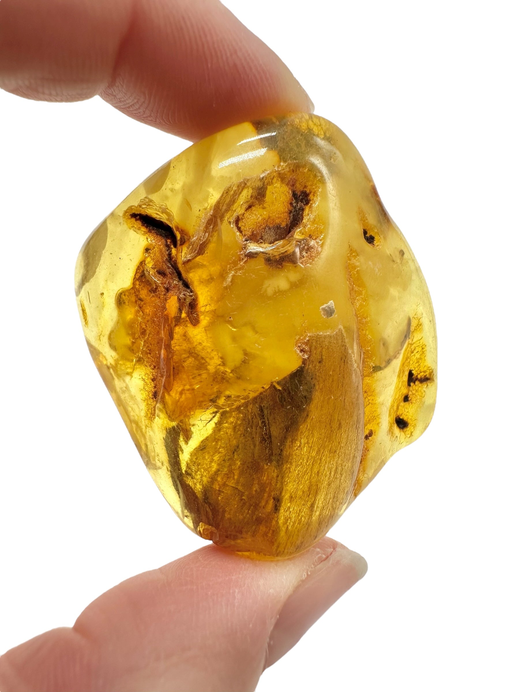 Amber 15,4g – Lithuania - JN769