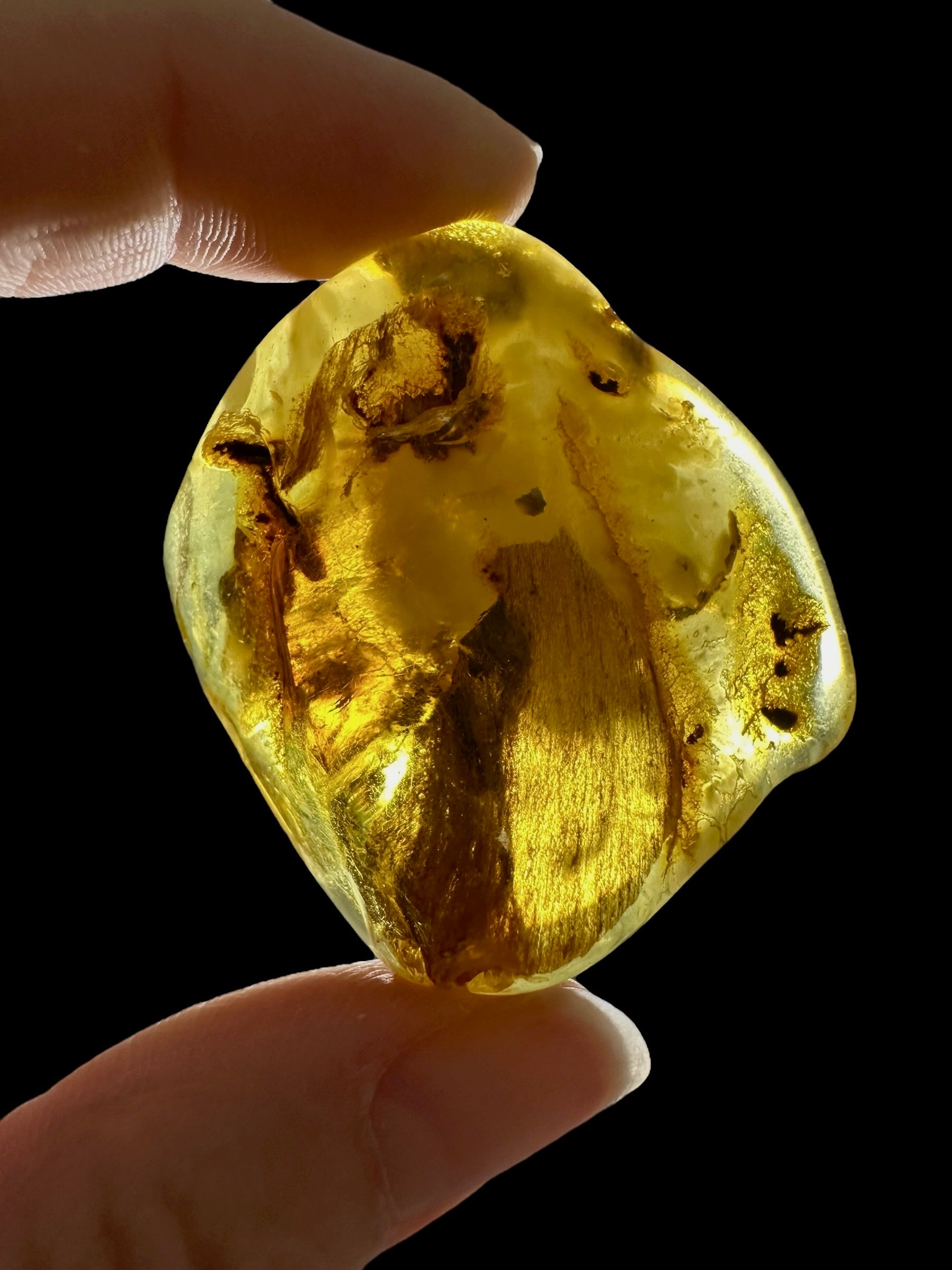 Amber 15,4g – Lithuania - JN769