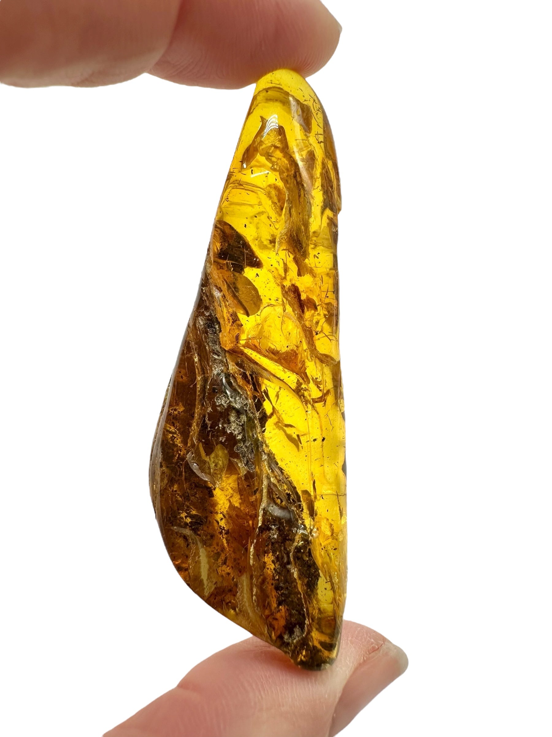 Amber 11,3g – Lithuania - JN771