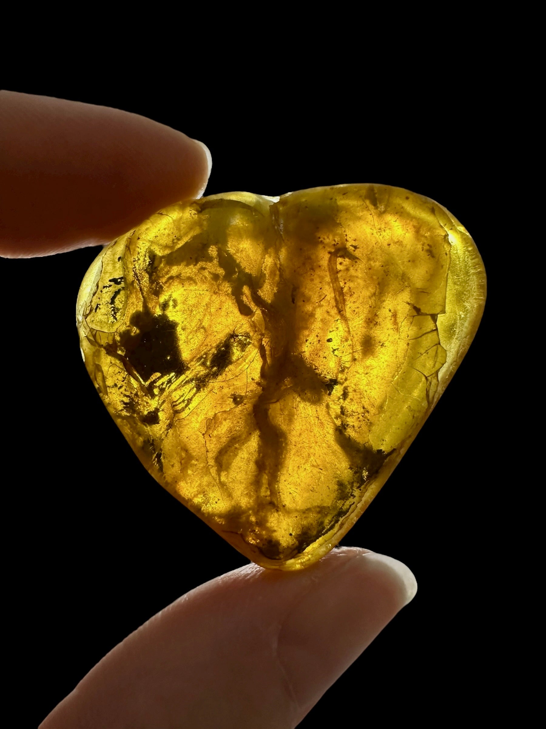 Amber 10,1g – Lithuania - JN772