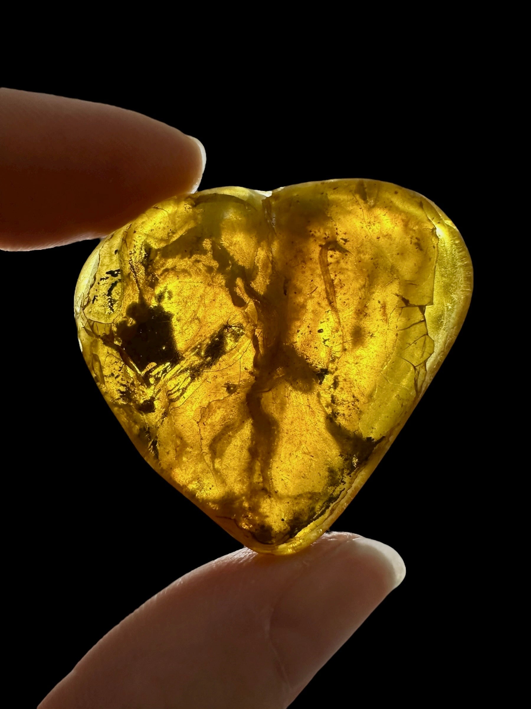 Amber 10,1g – Lithuania - JN772