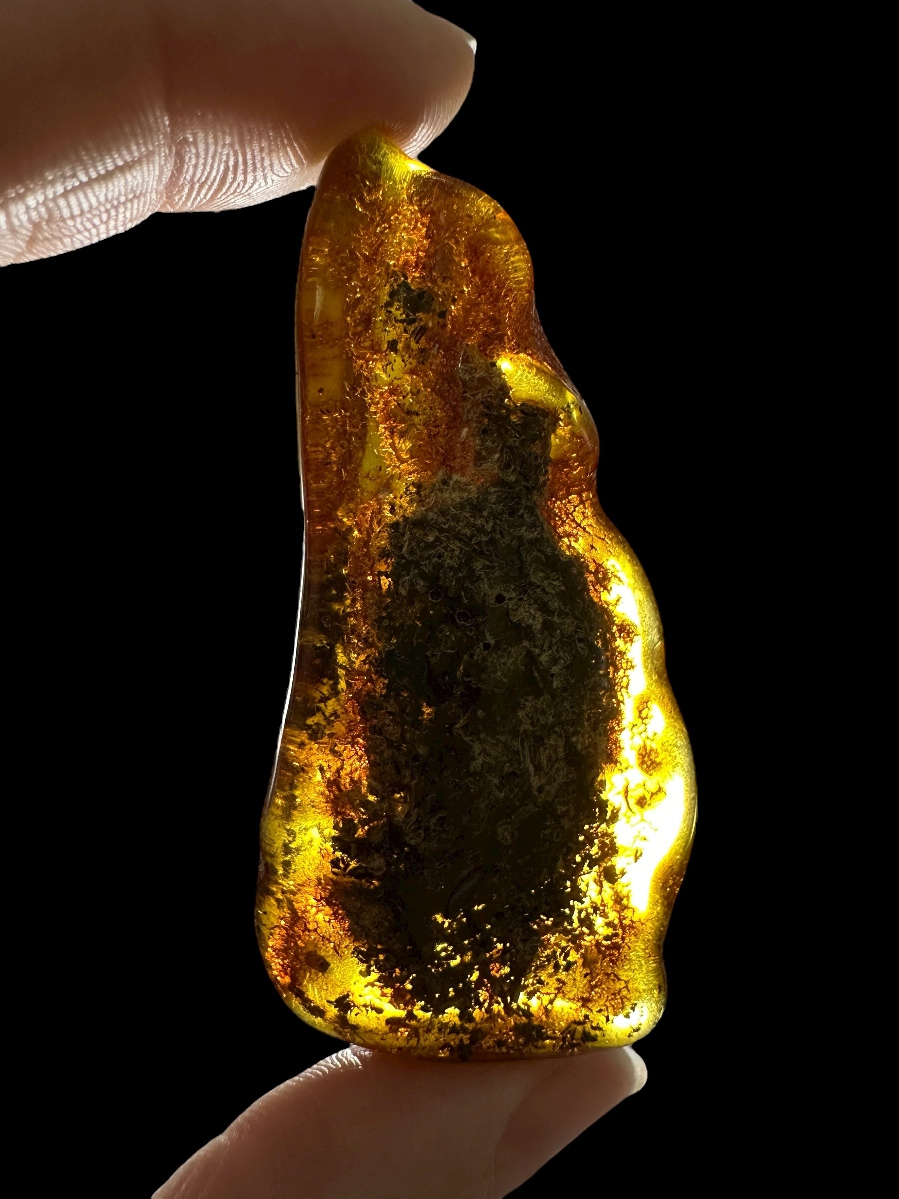 Amber 11,2g – Lithuania - JN773