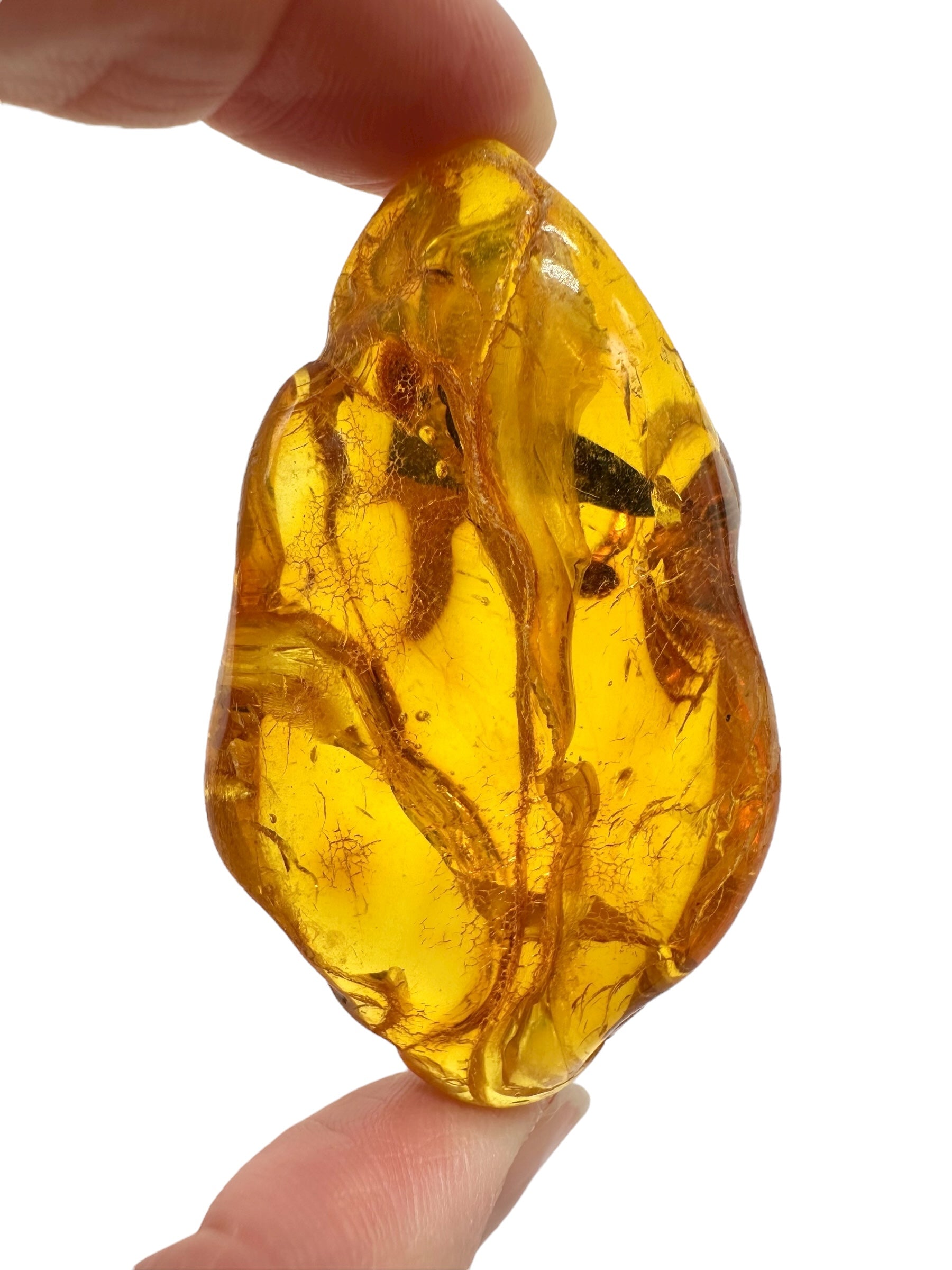 Amber 18,8g – Lithuania - JN774