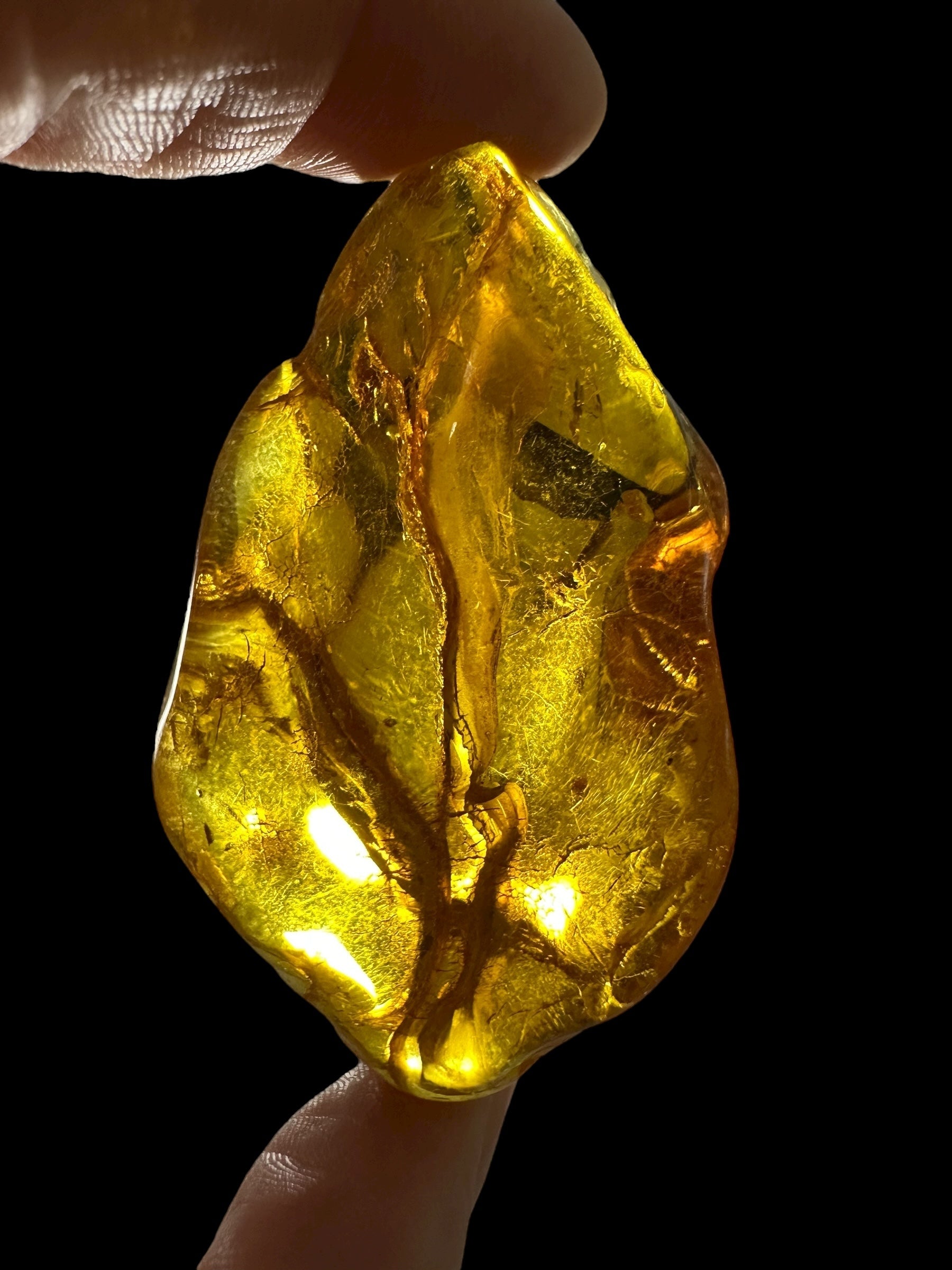 Amber 18,8g – Lithuania - JN774