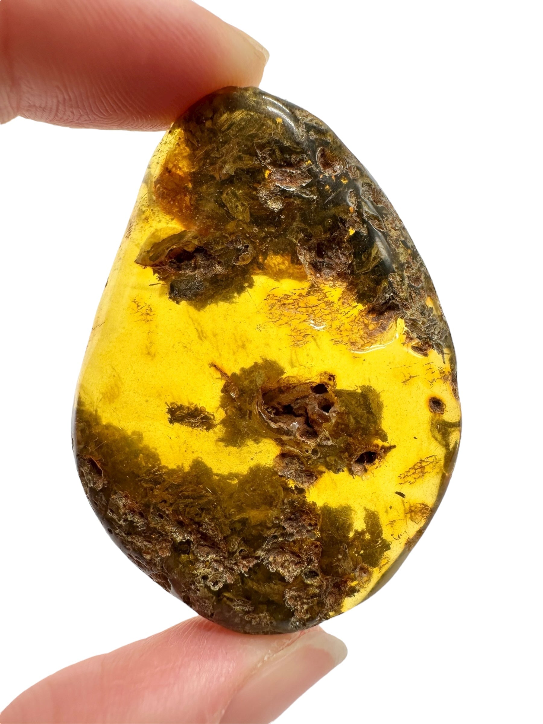 Amber 11,8g – Lithuania - JN775