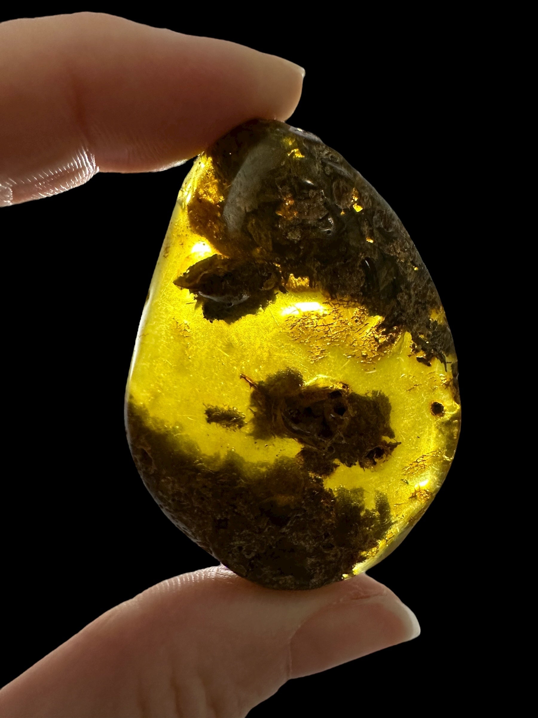 Amber 11,8g – Lithuania - JN775