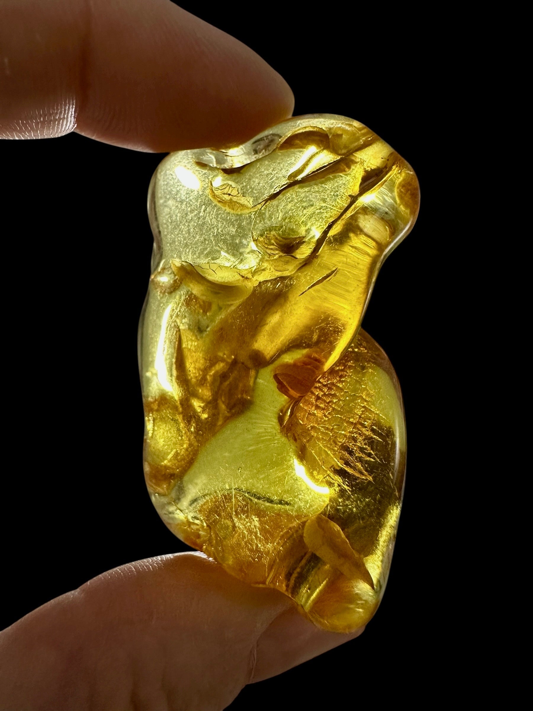 Amber 14,5g – Lithuania - JN780