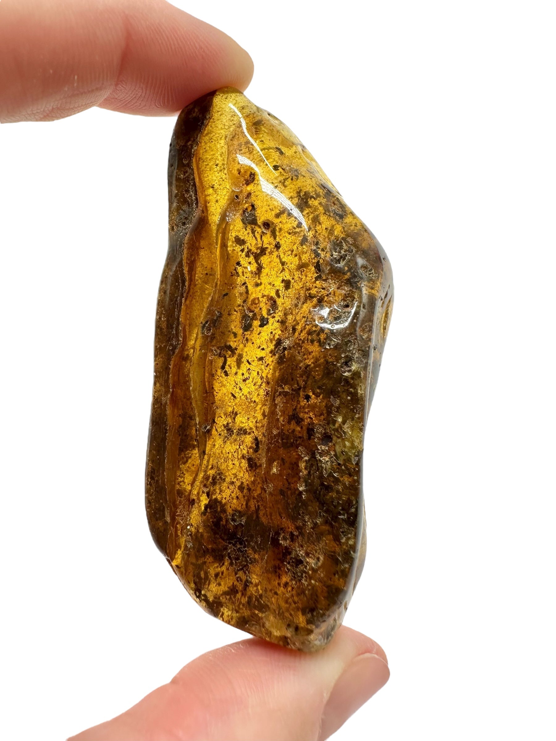 Amber 23,1g – Lithuania - JN781