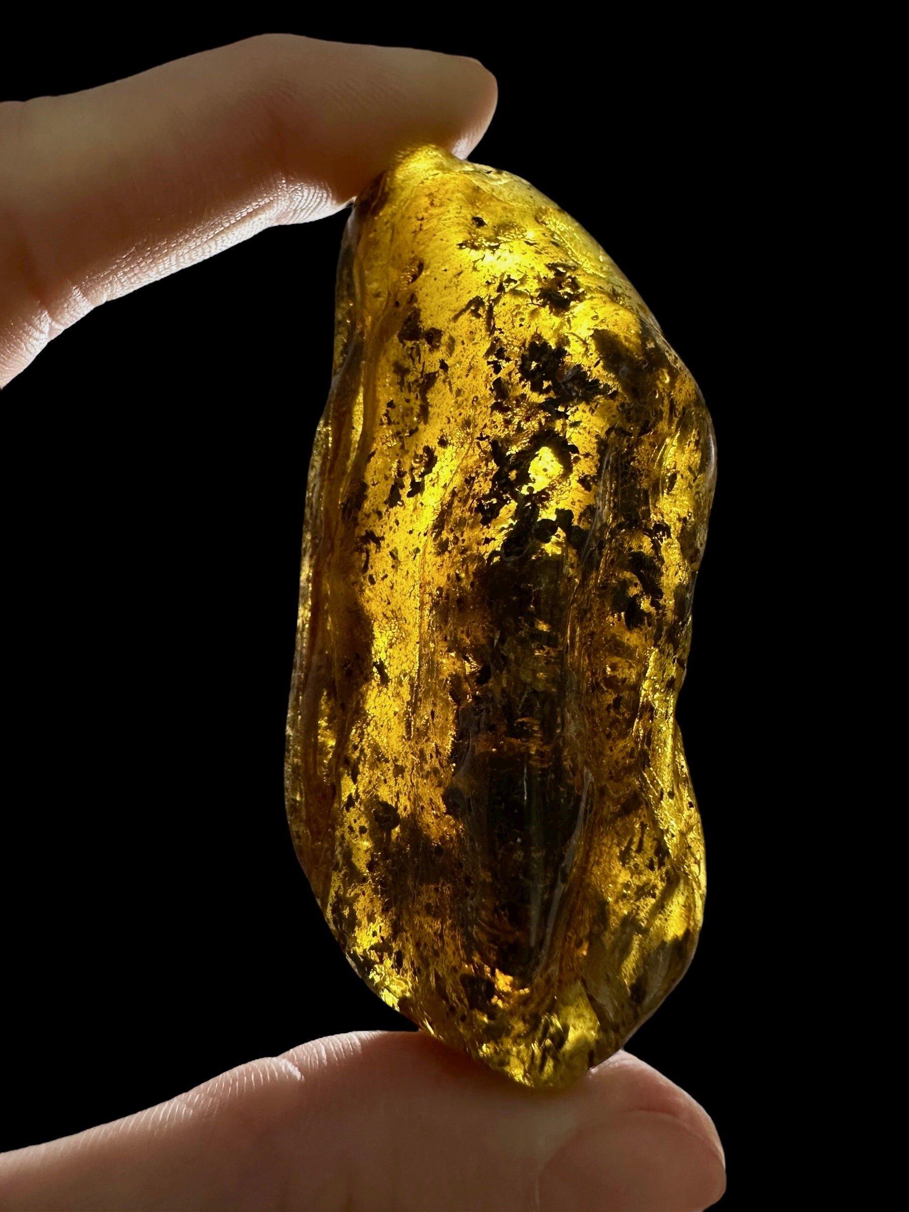 Amber 23,1g – Lithuania - JN781