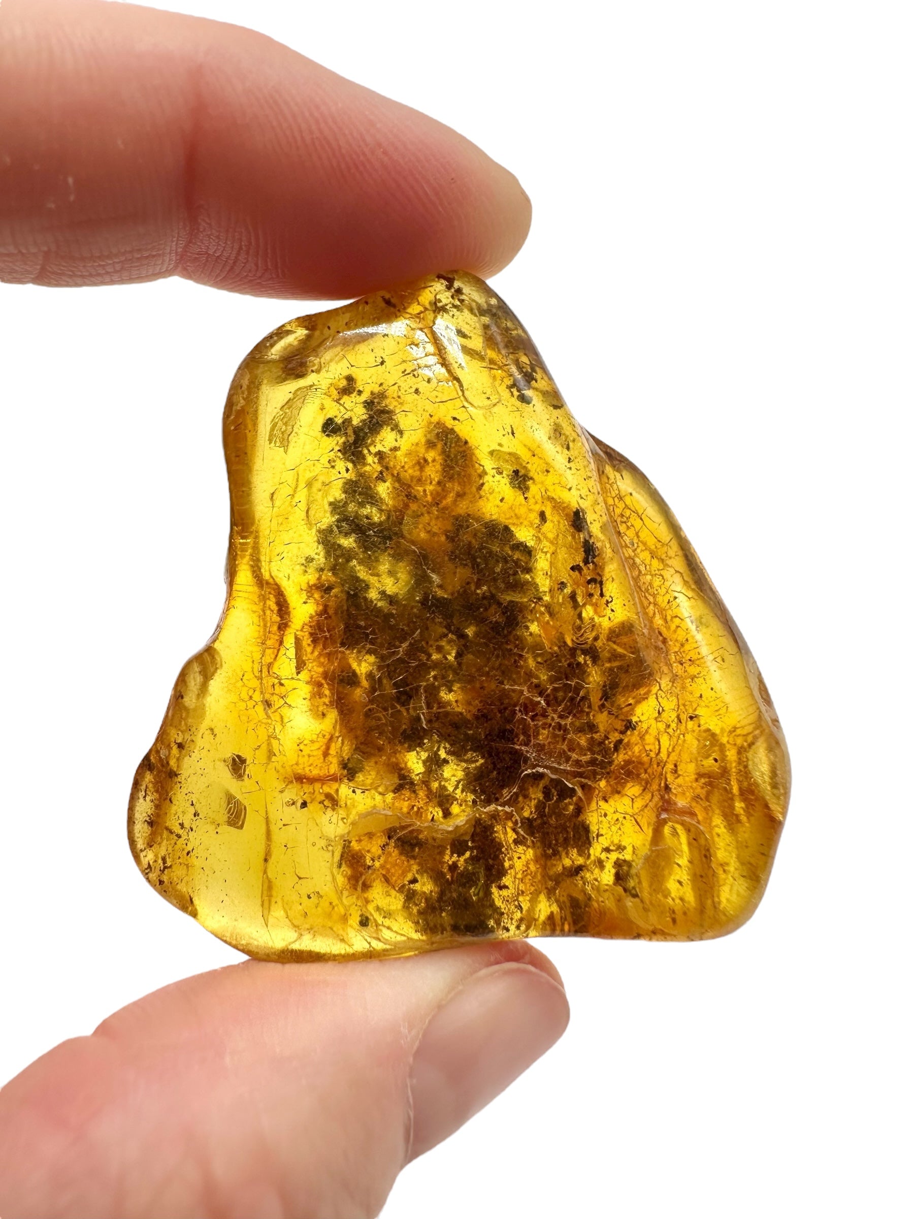 Amber 11,5g – Lithuania - JN782