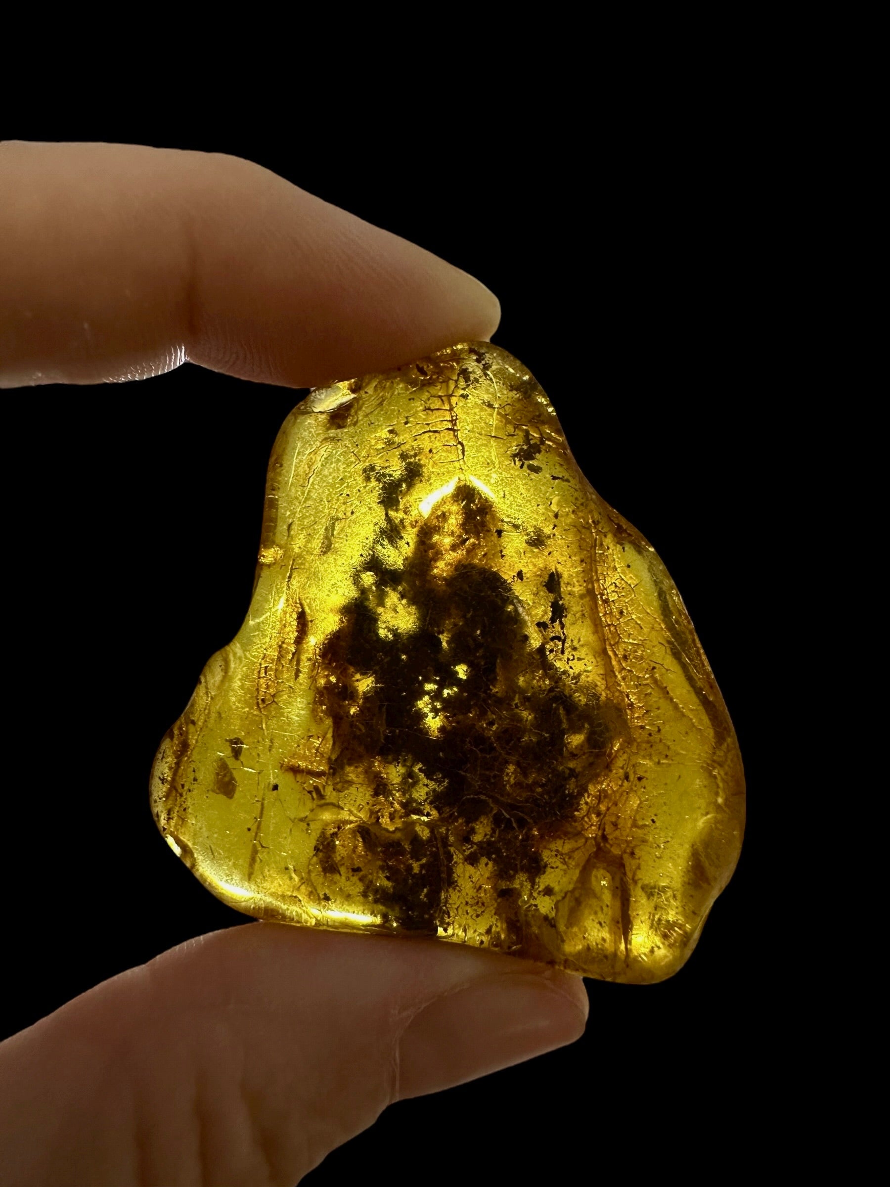 Amber 11,5g – Lithuania - JN782