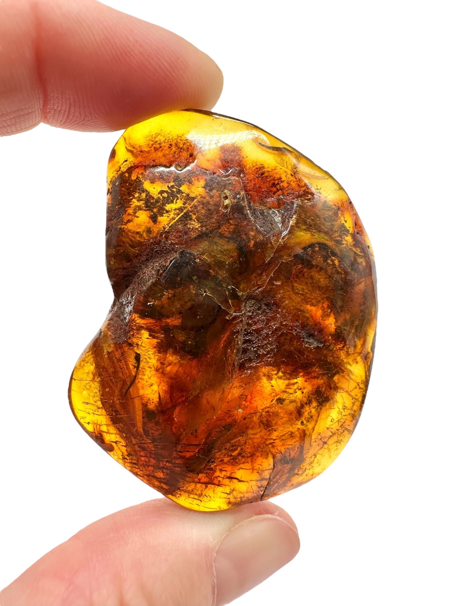 Amber 13g – Lithuania - JN784