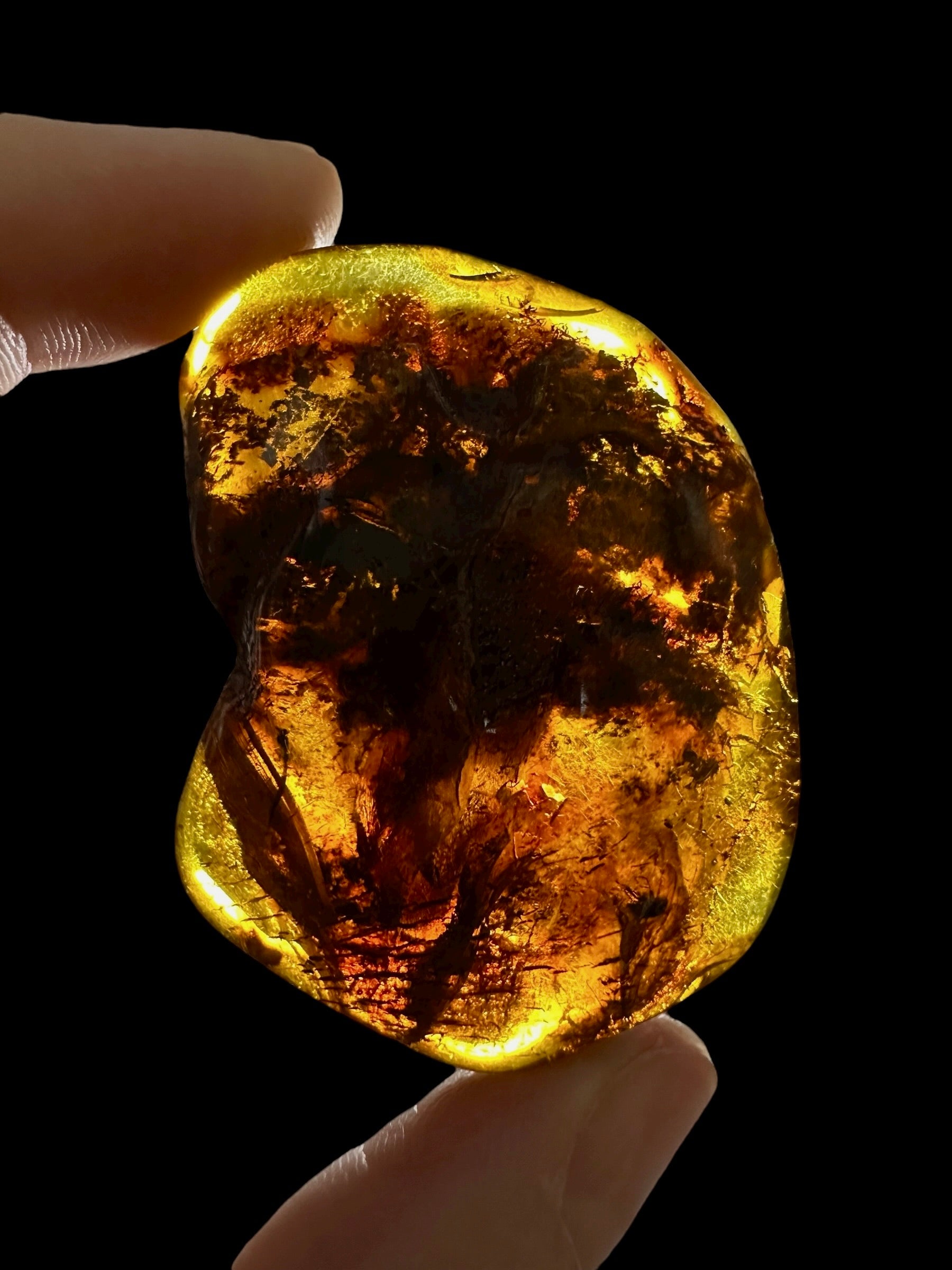 Amber 13g – Lithuania - JN784