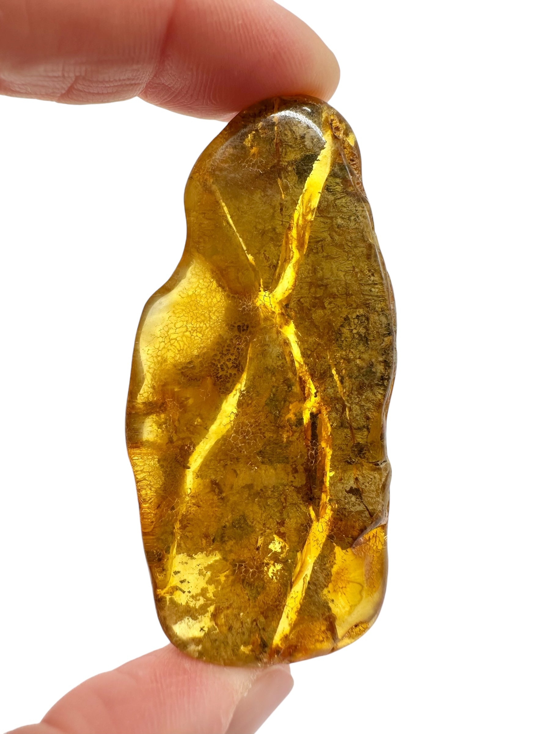 Amber 12,8g – Lithuania - JN786