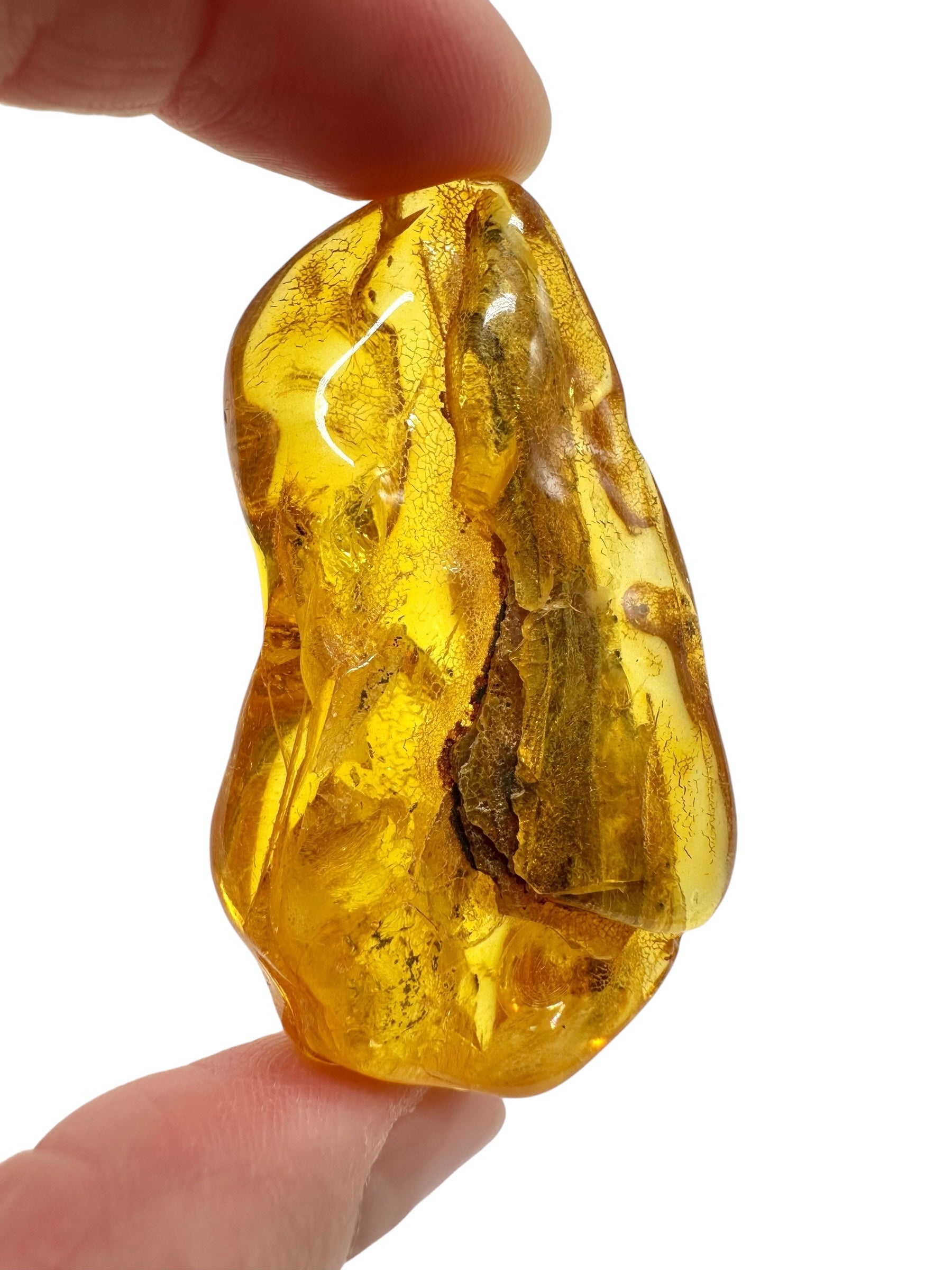Amber 13,9g – Lithuania - JN789