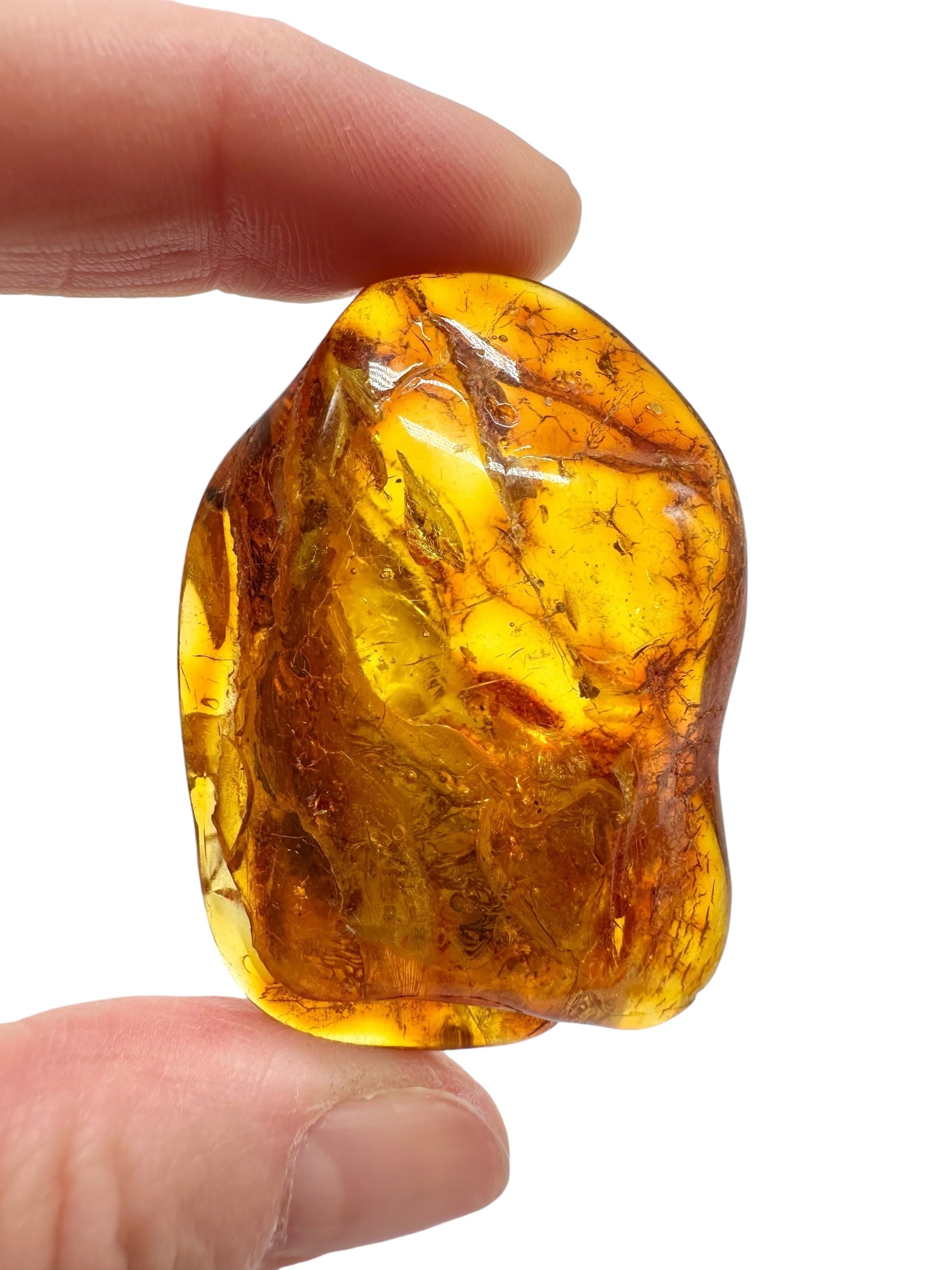 Amber 13,8g – Lithuania - JN790