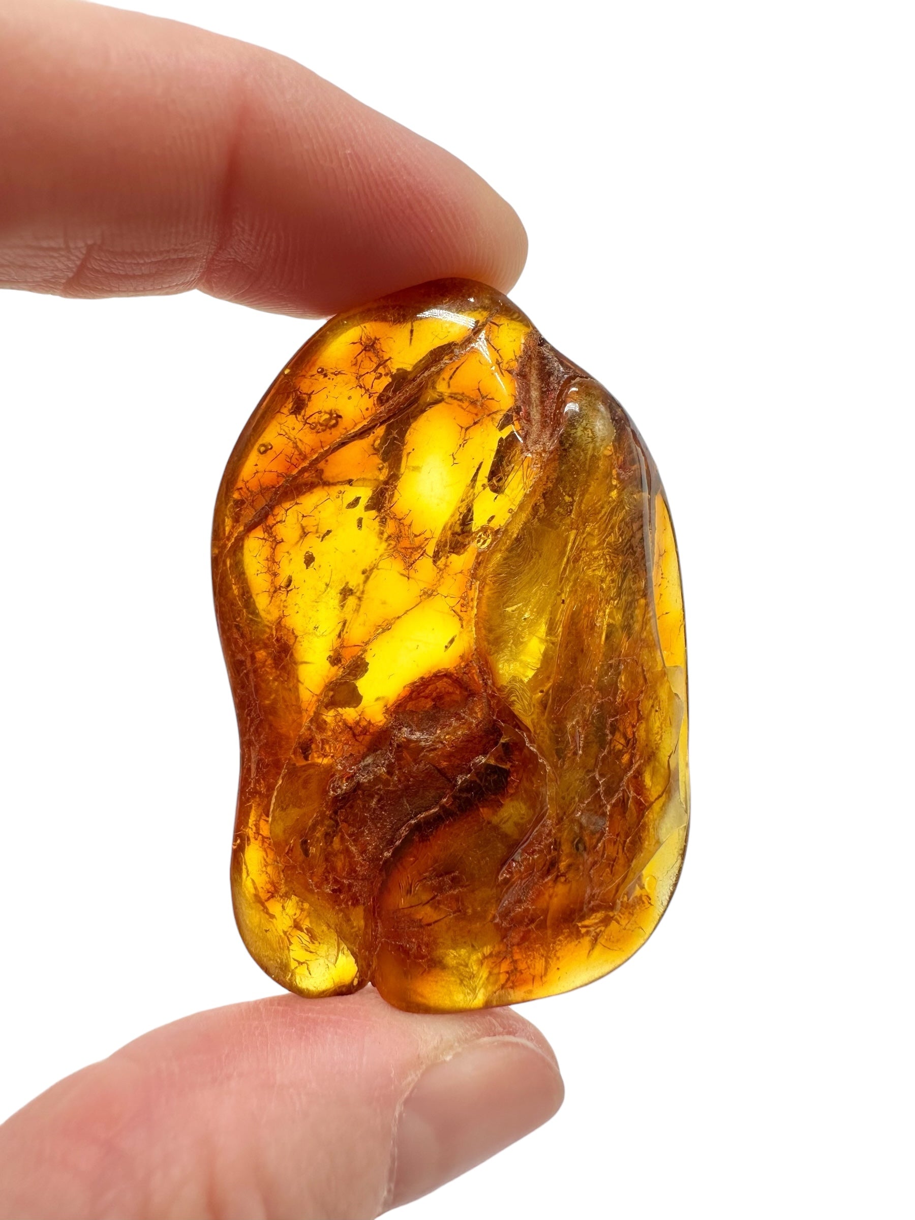 Amber 13,8g – Lithuania - JN790