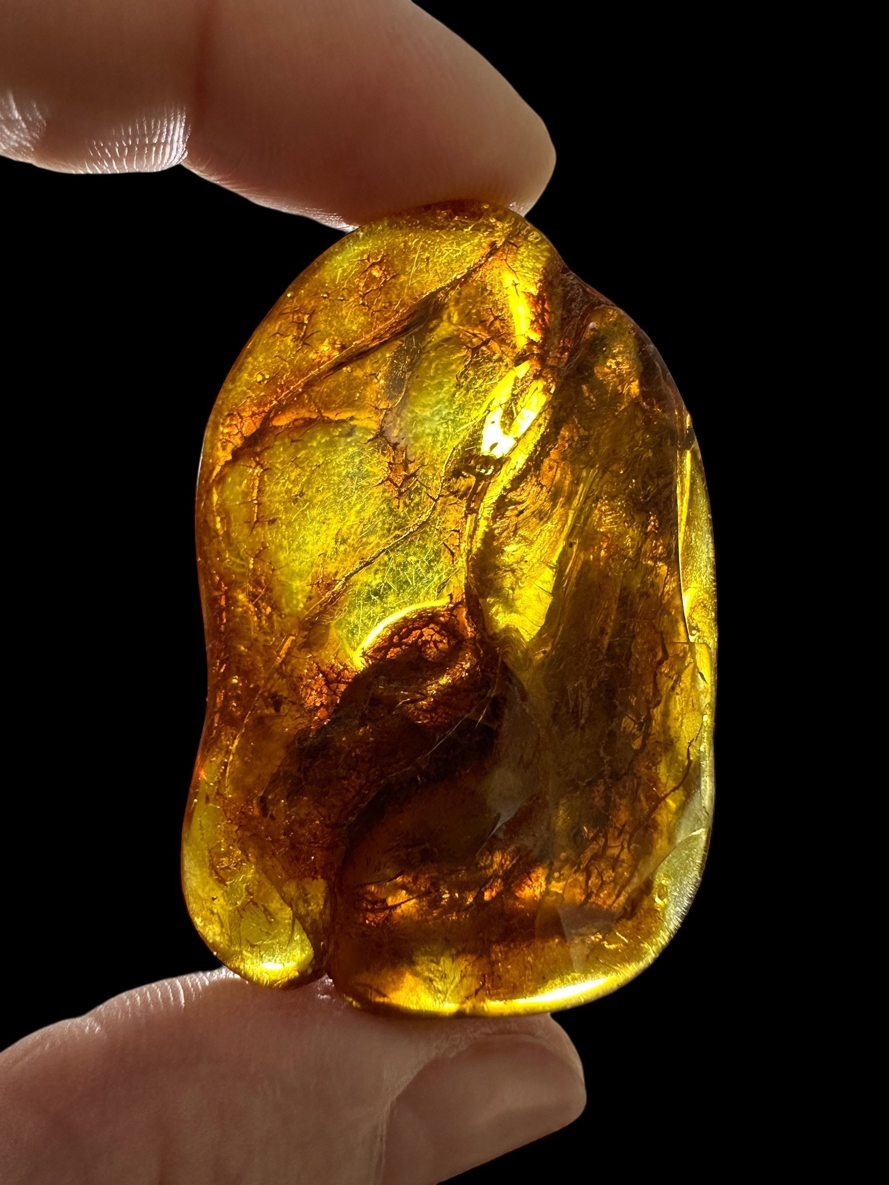 Amber 13,8g – Lithuania - JN790