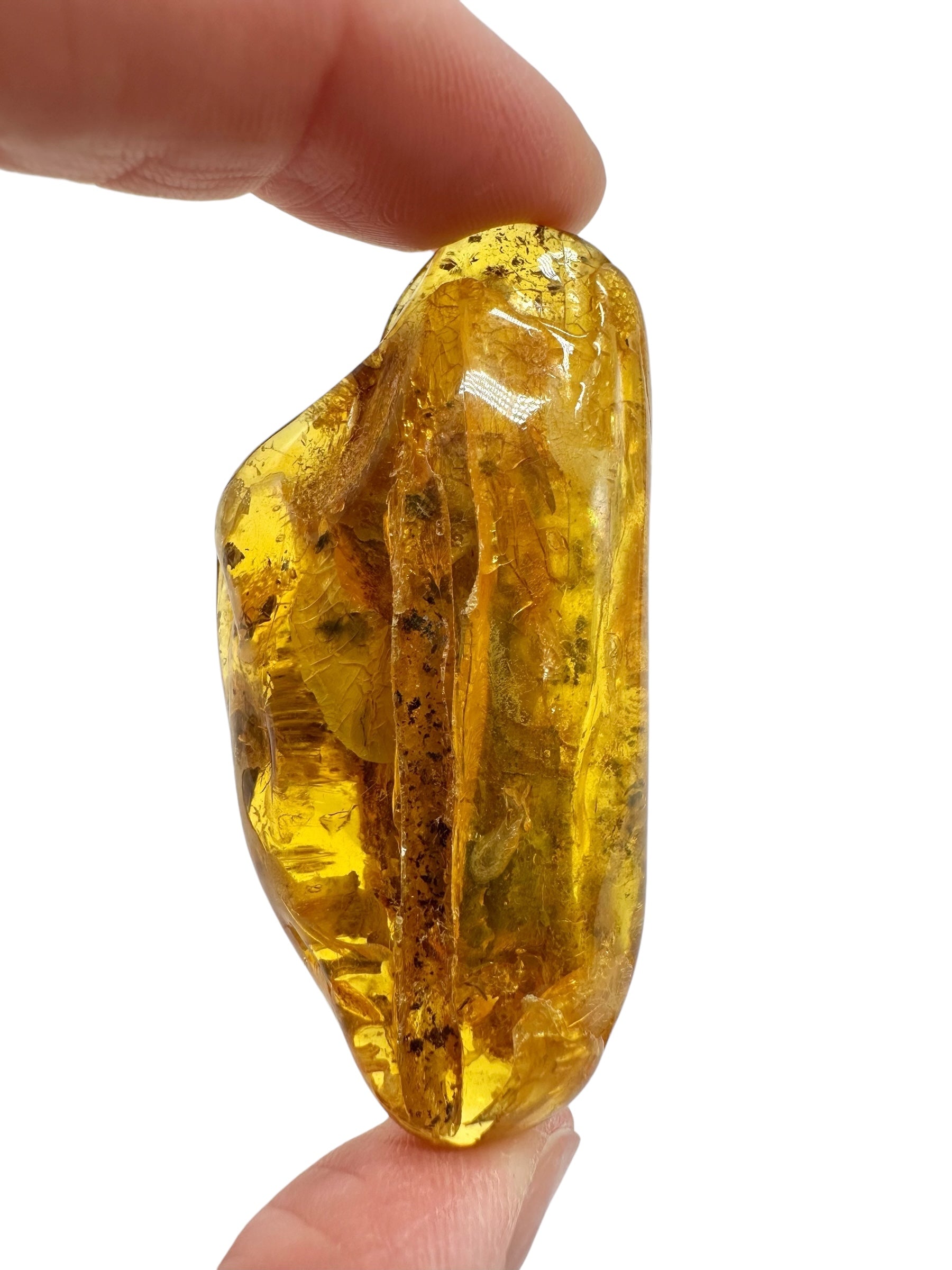 Amber 11,3g – Lithuania - JN791