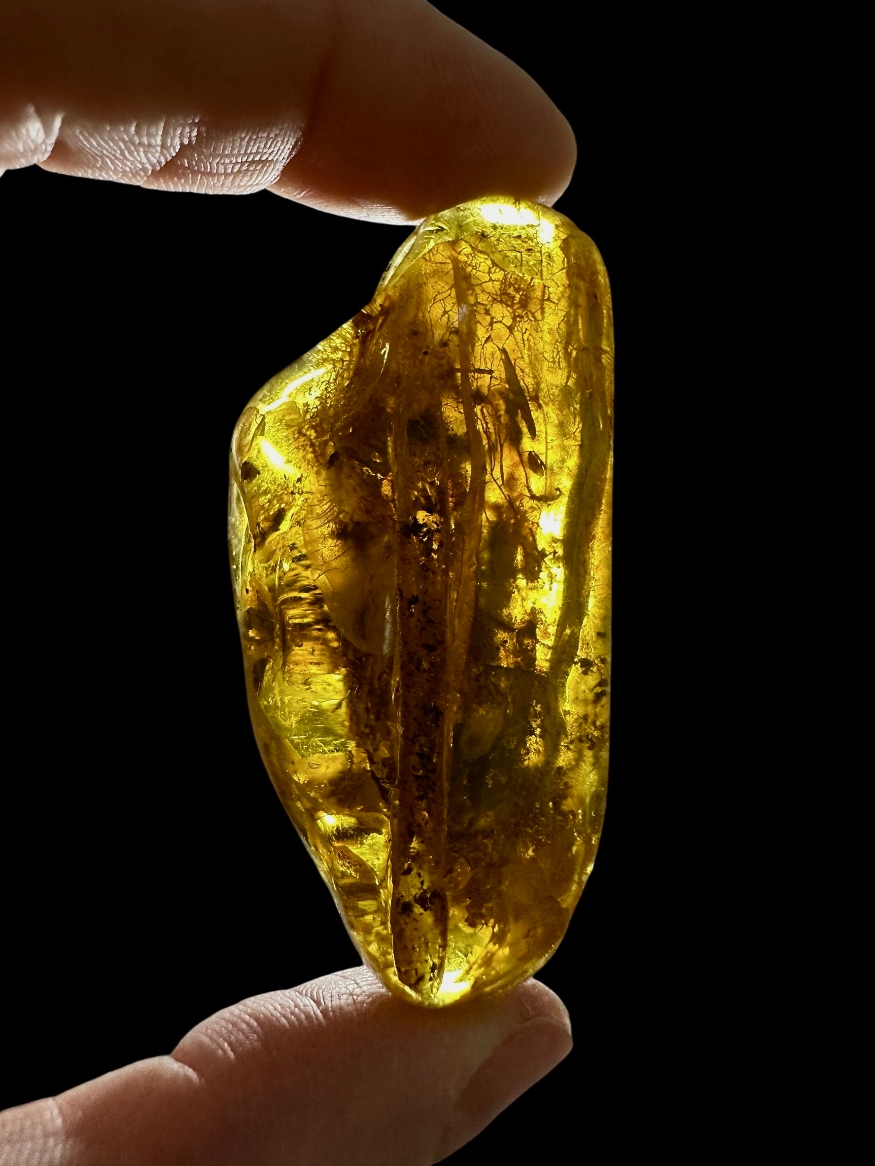 Amber 11,3g – Lithuania - JN791
