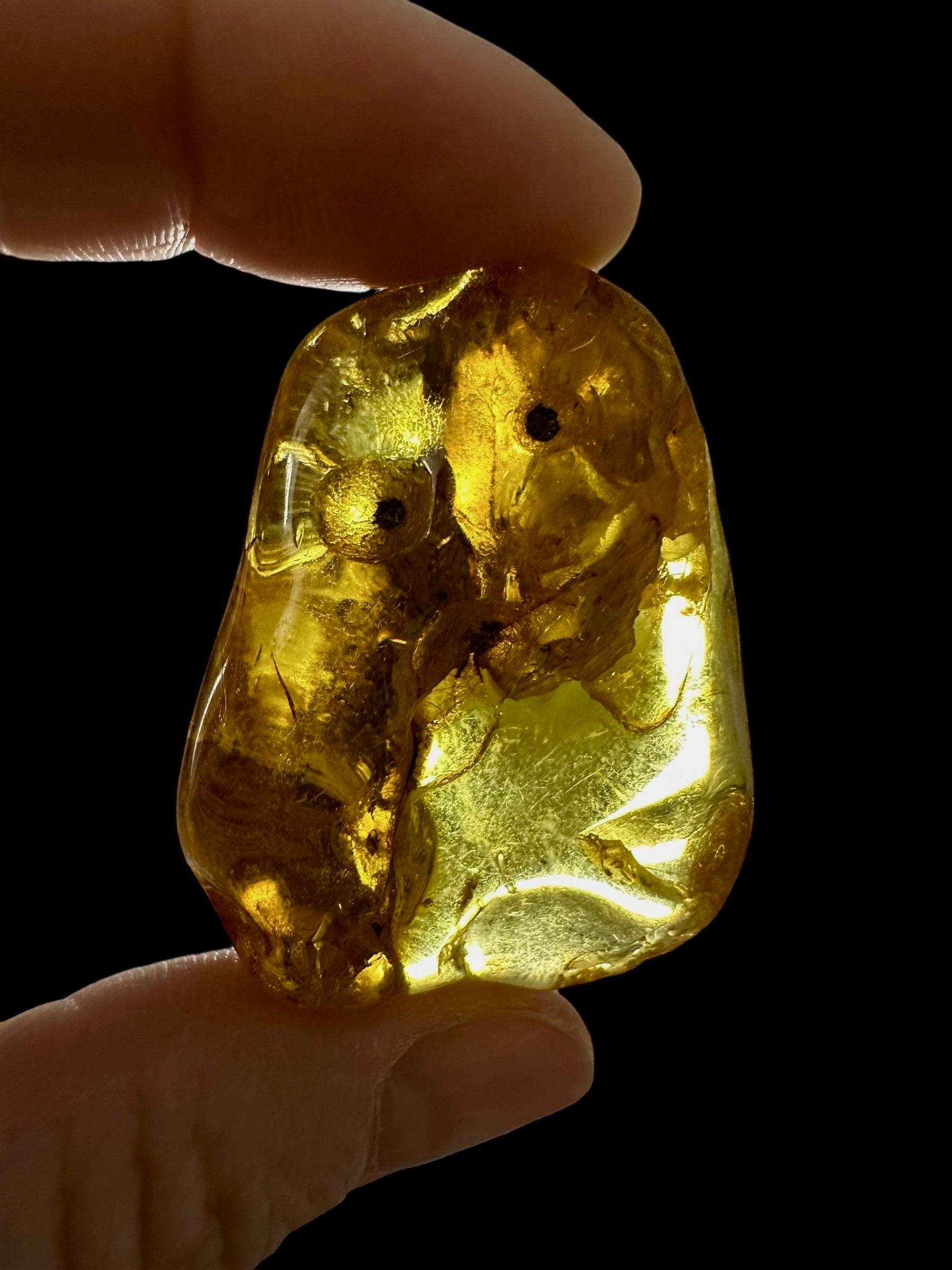 Amber 12,4g – Lithuania - JN792