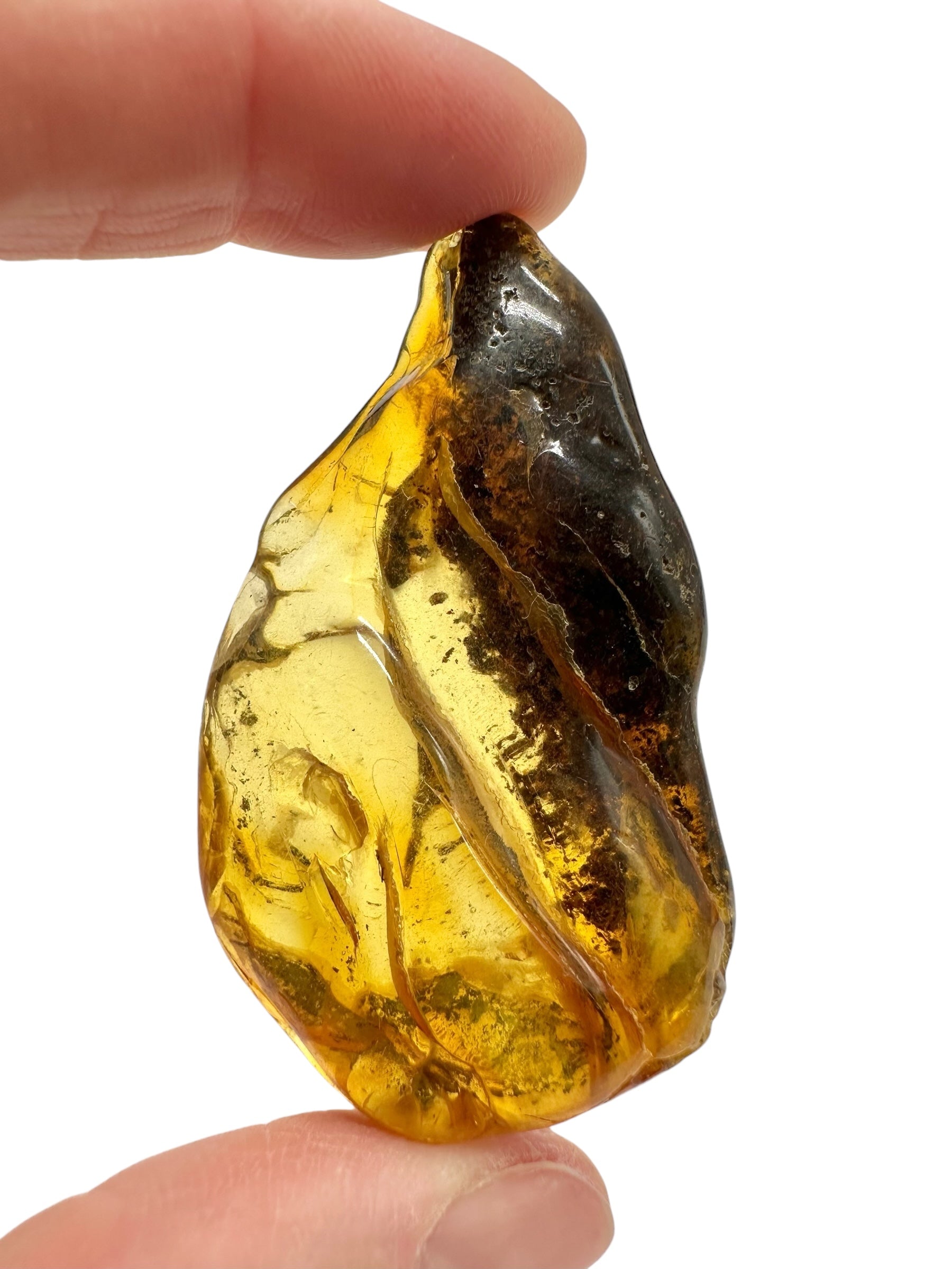 Amber 10,6g – Lithuania - JN793