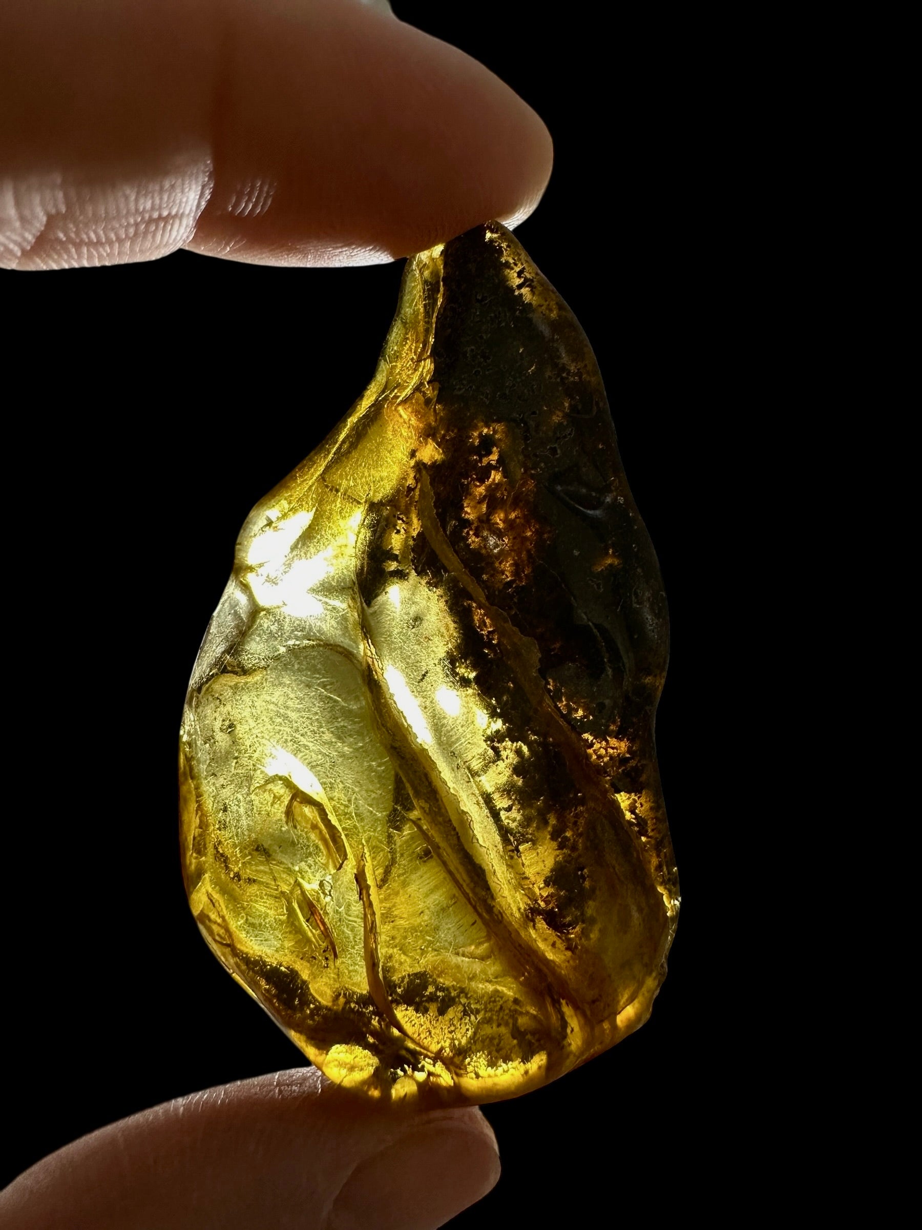 Amber 10,6g – Lithuania - JN793