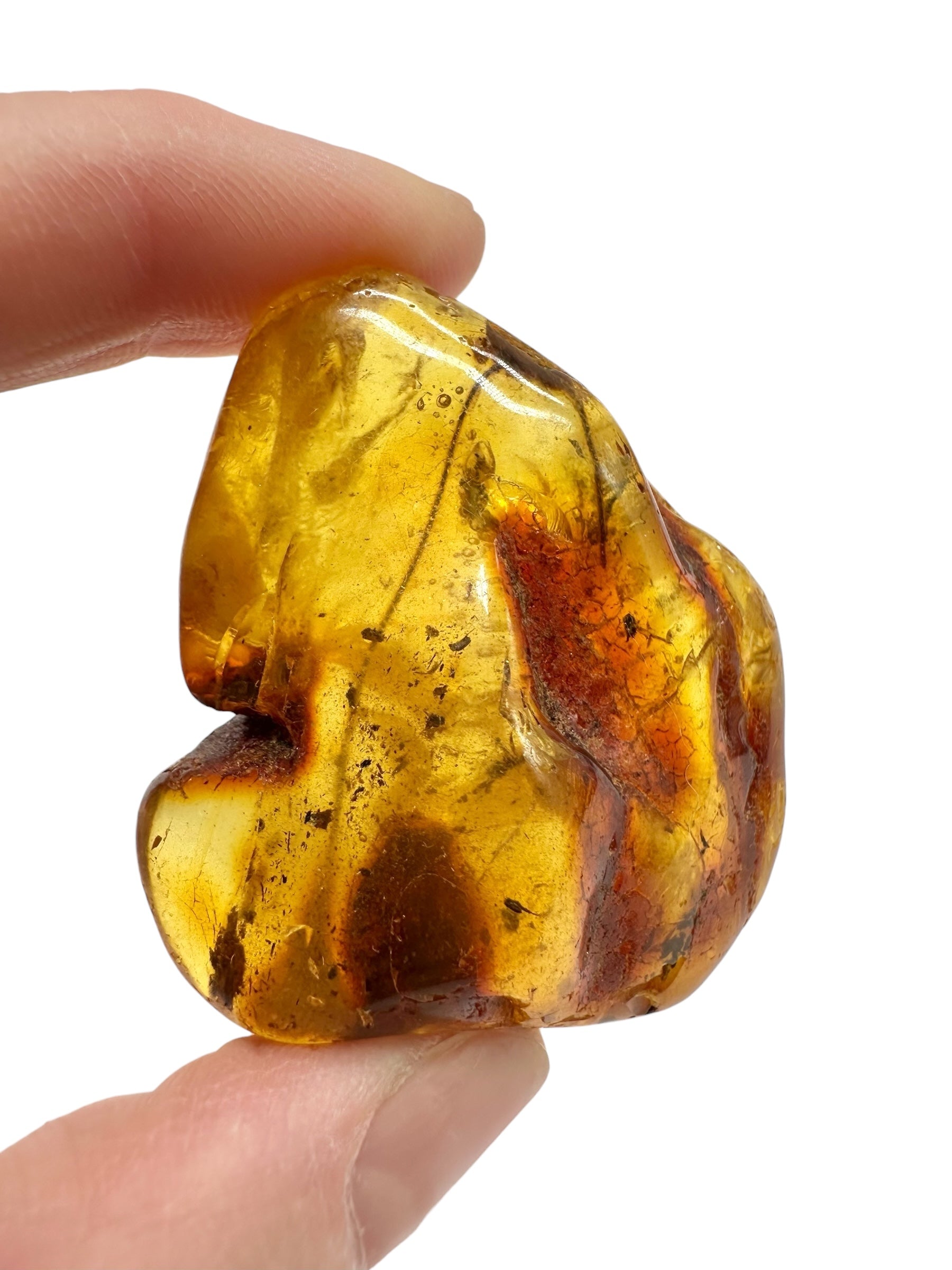 Amber 19,3g – Lithuania - JN794