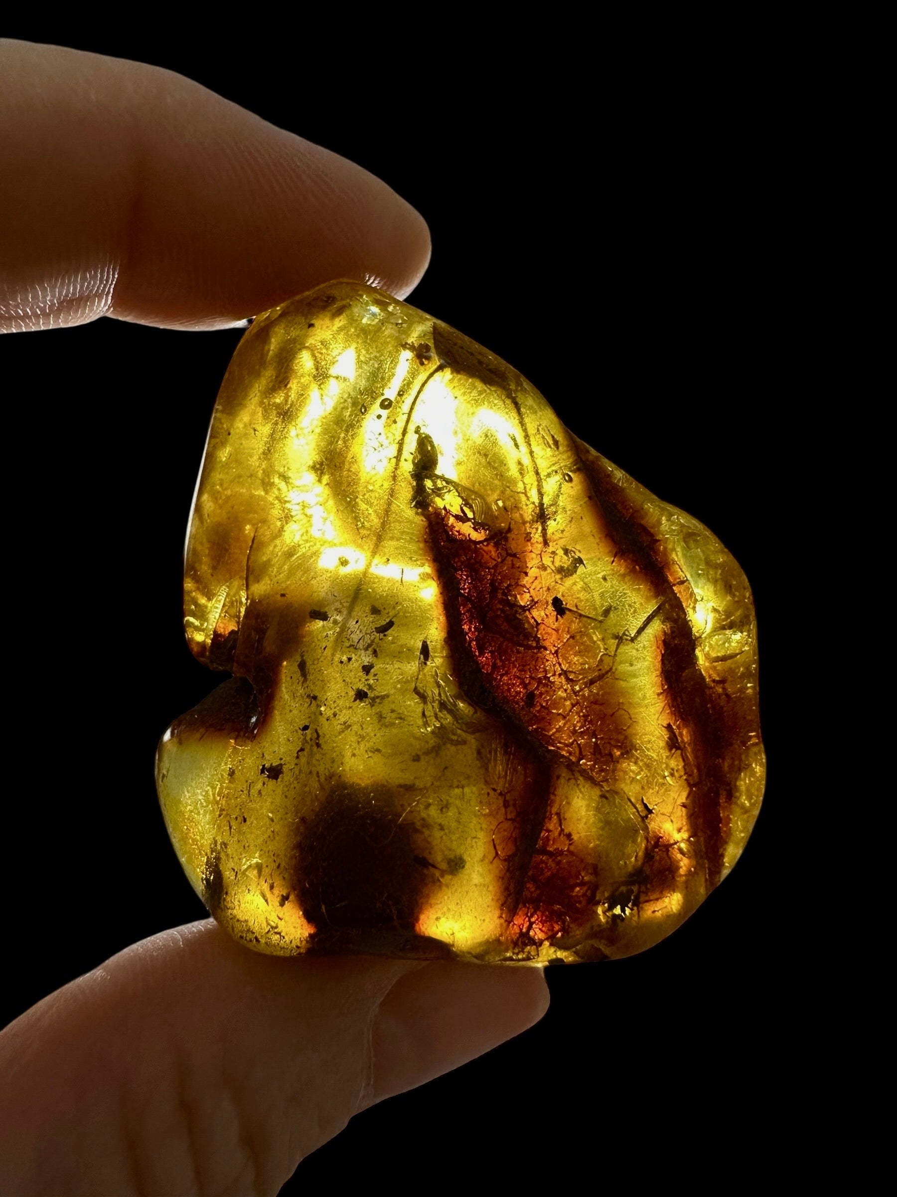 Amber 19,3g – Lithuania - JN794