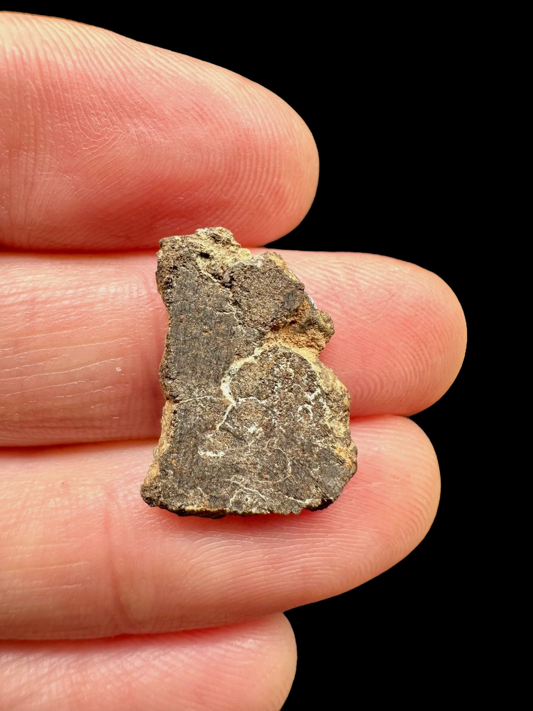 Meteorite Al Haggounia 001 – 0,8g – Western Sahara - MEAH65