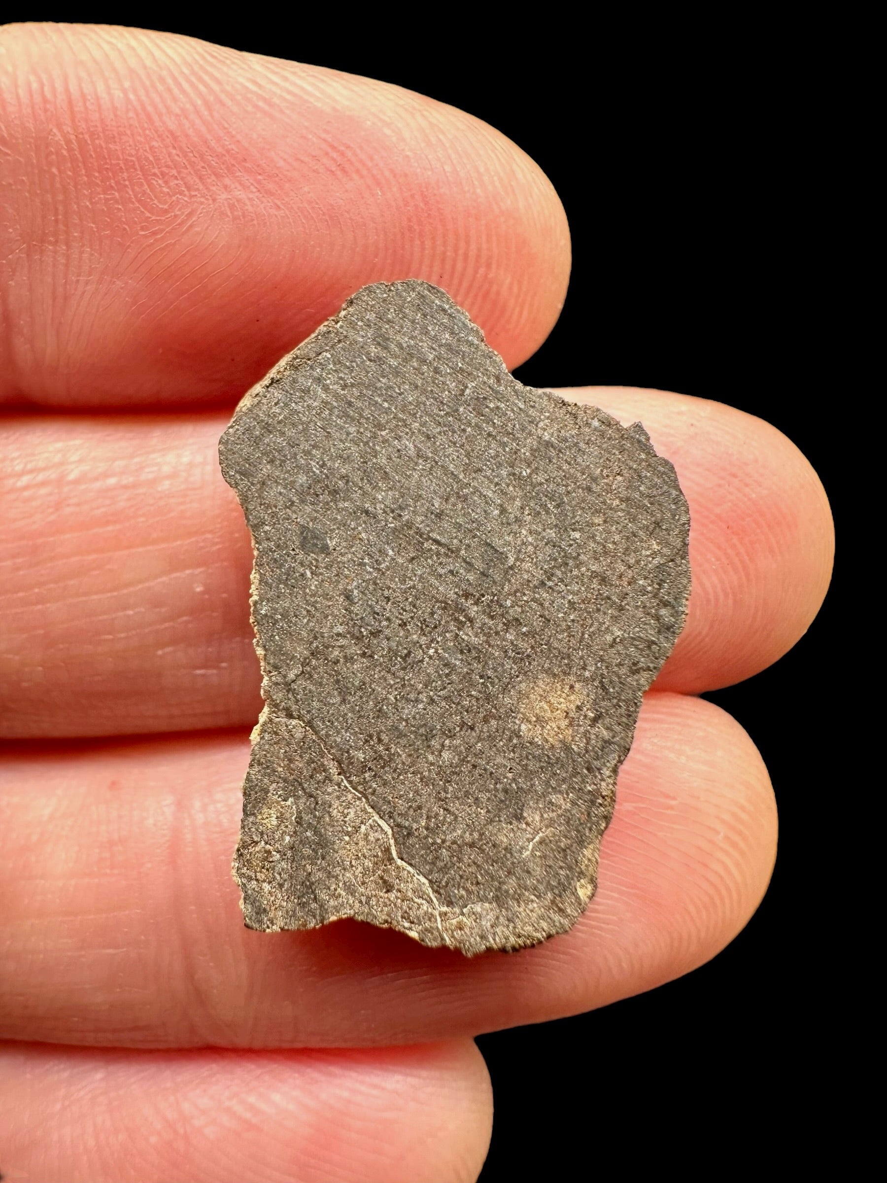 Meteorite Al Haggounia 001 – 1,6g – Western Sahara