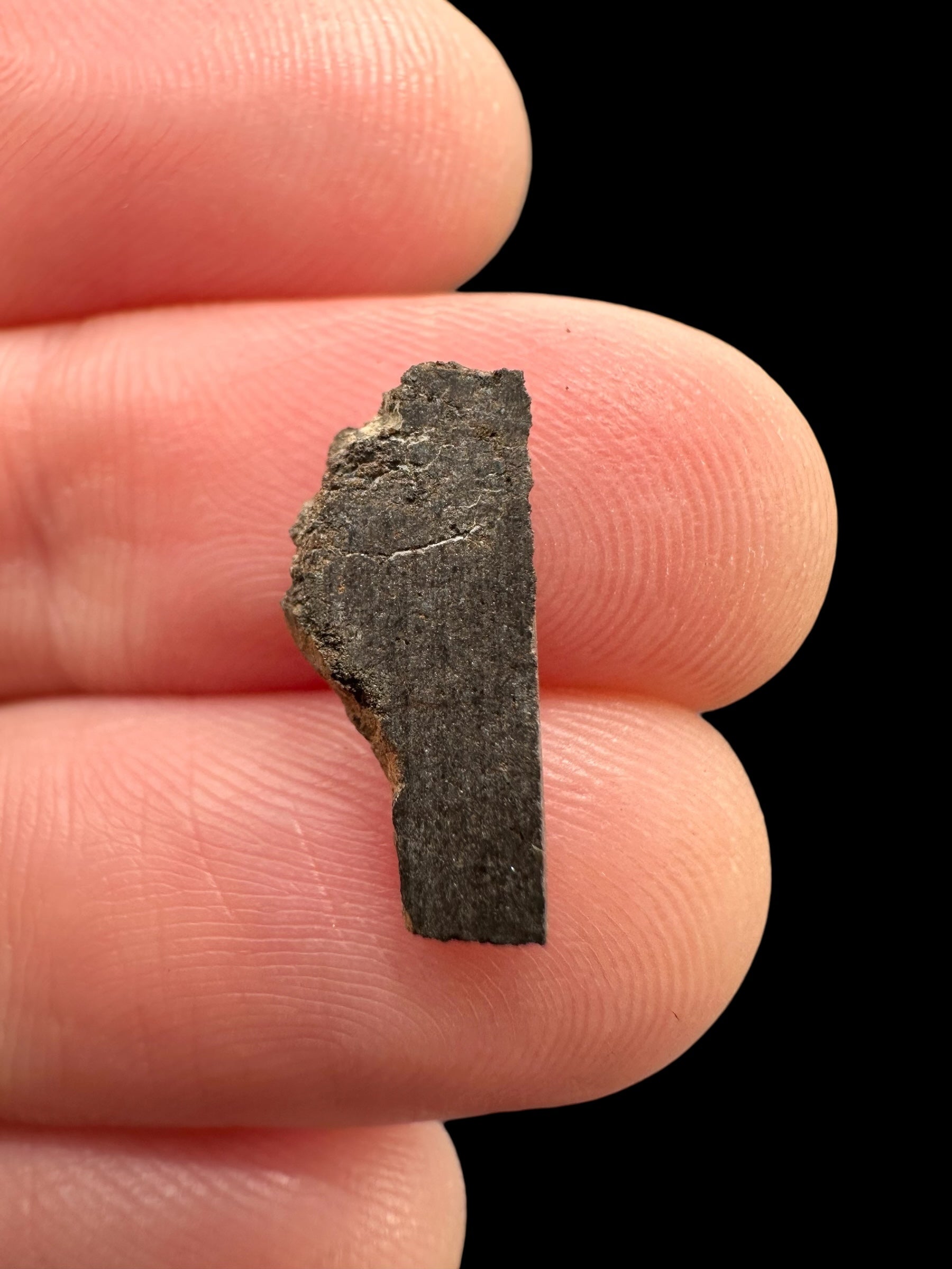 Meteorite Al Haggounia 001 – 0,3g – Western Sahara - MEAH75