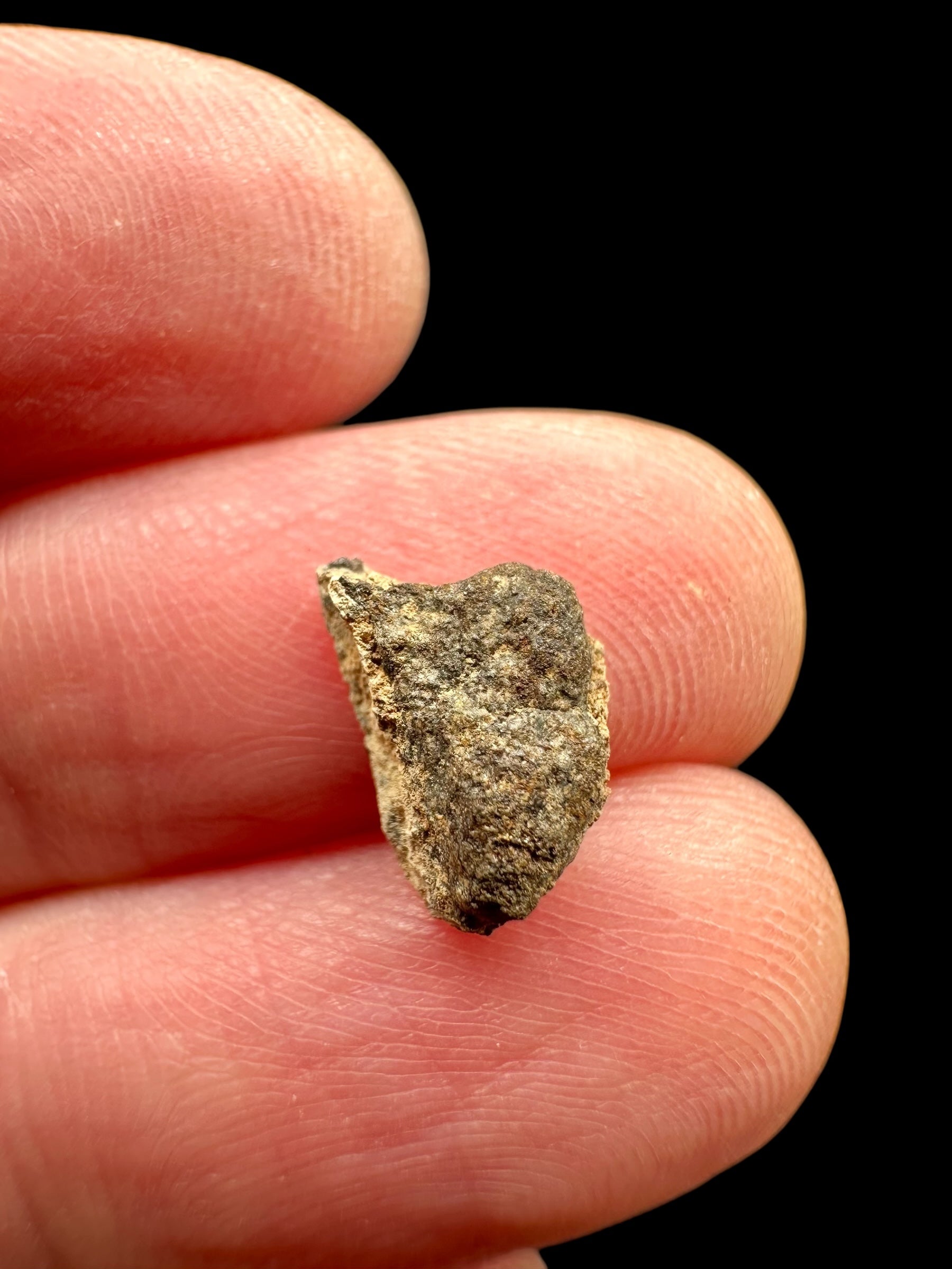 Meteorite Al Haggounia 001 – 0,3g – Western Sahara - MEAH78