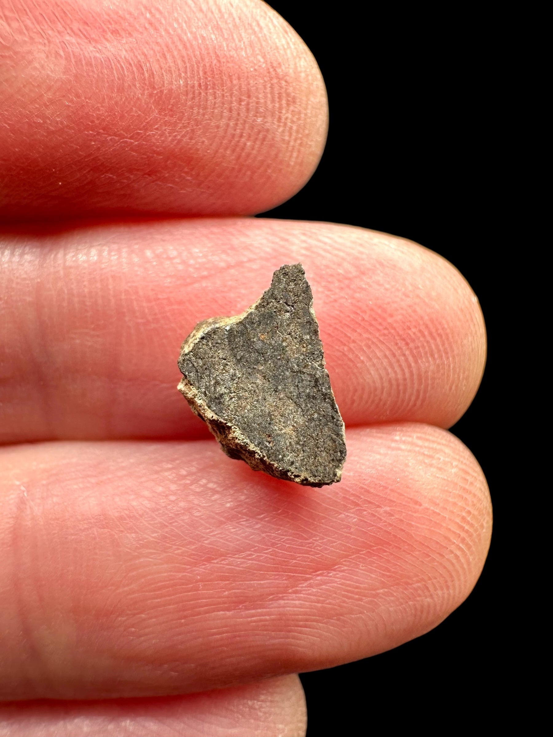Meteorite Al Haggounia 001 – 0,3g – Western Sahara - MEAH78