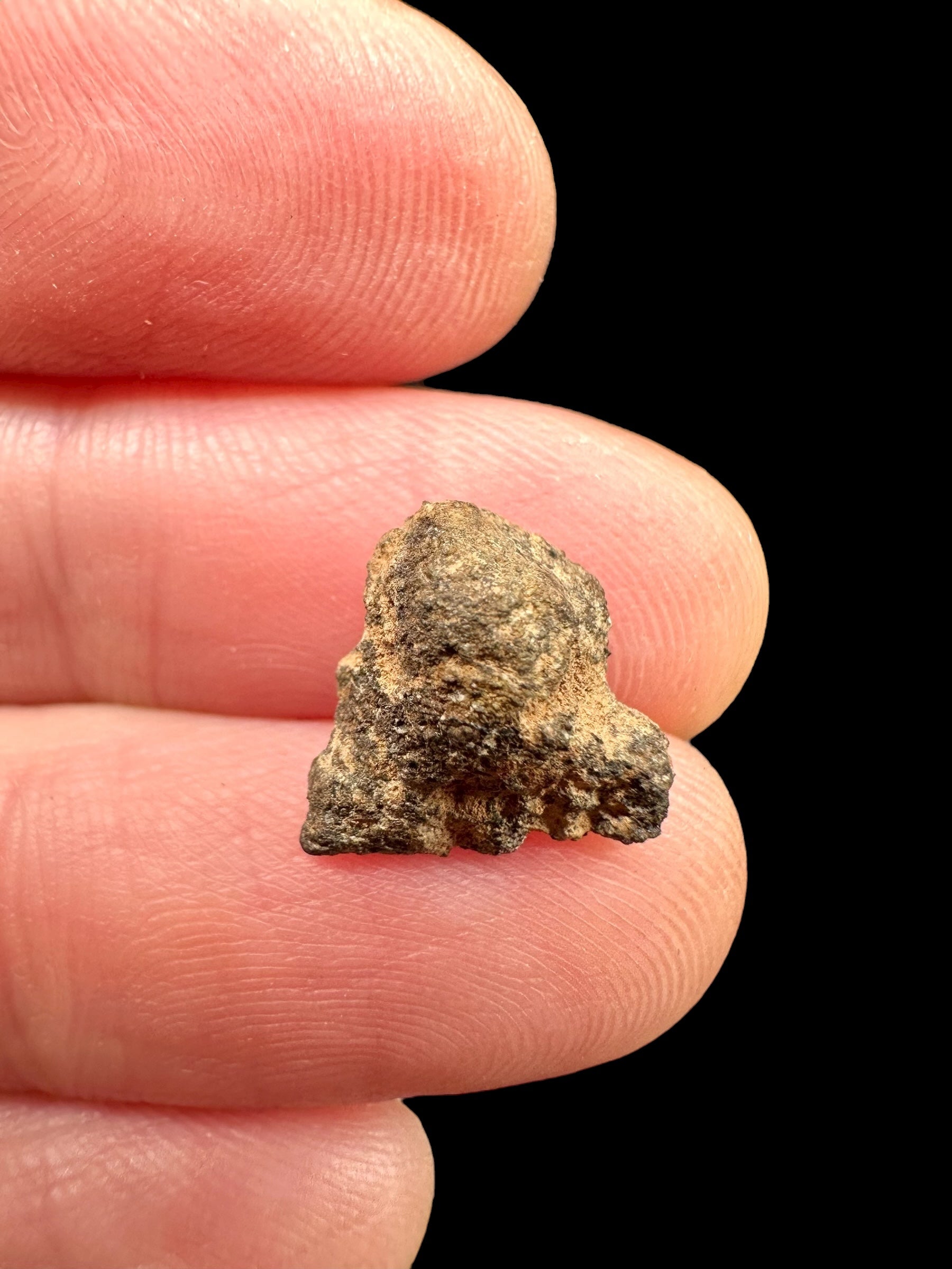 Meteorite Al Haggounia 001 – 0,5g – Western Sahara - MEAH79